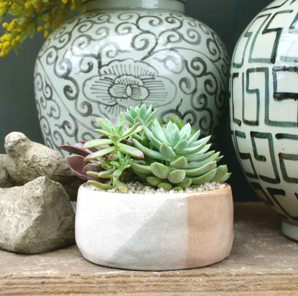 black tall plant pots Campania Tall Hyphen Bowl Planters