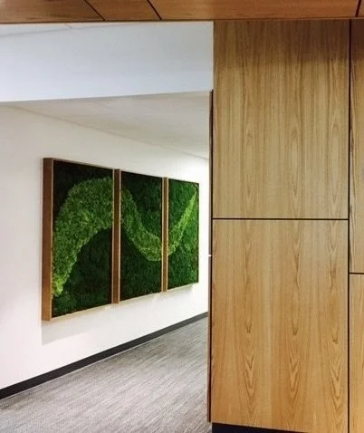 Commercial Moss Wall x3 (2).jpg