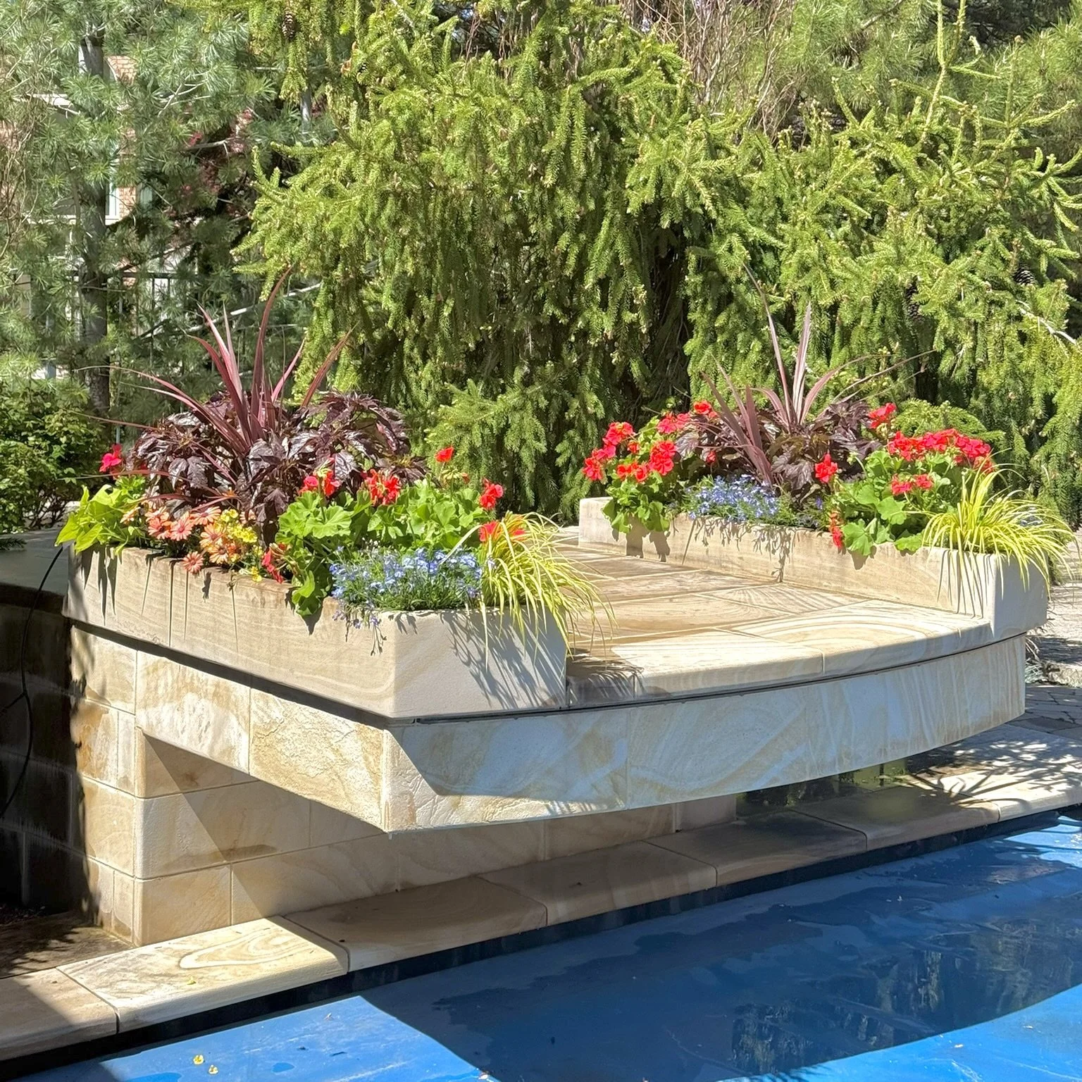 SIGNATURE - FULL SUN