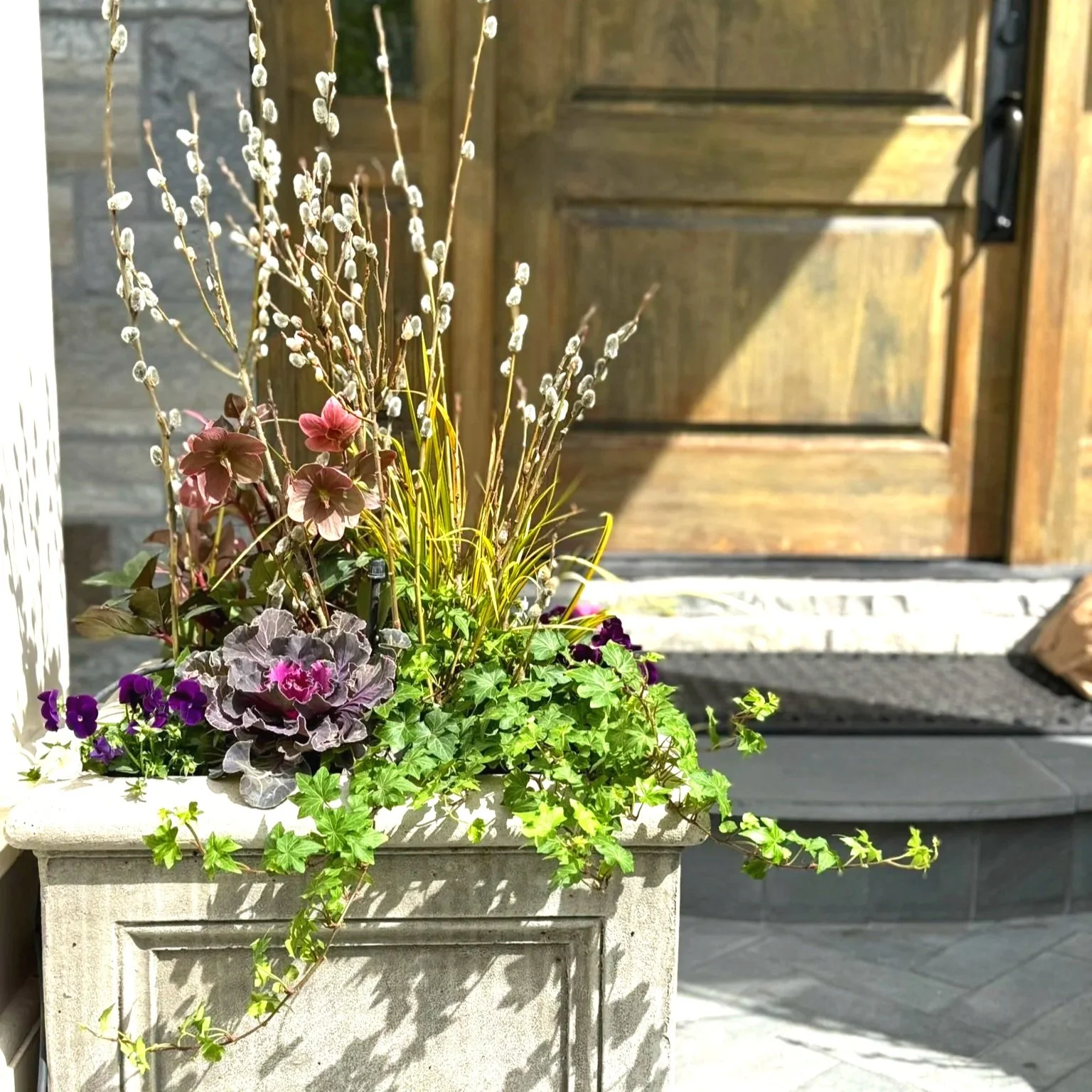 SIGNATURE - FULL SUN