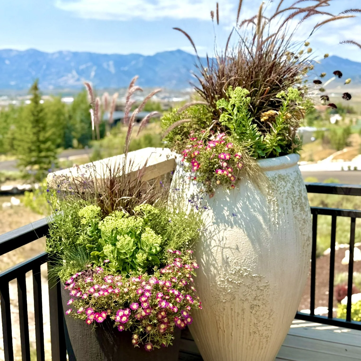 SIGNATURE - WATERWISE