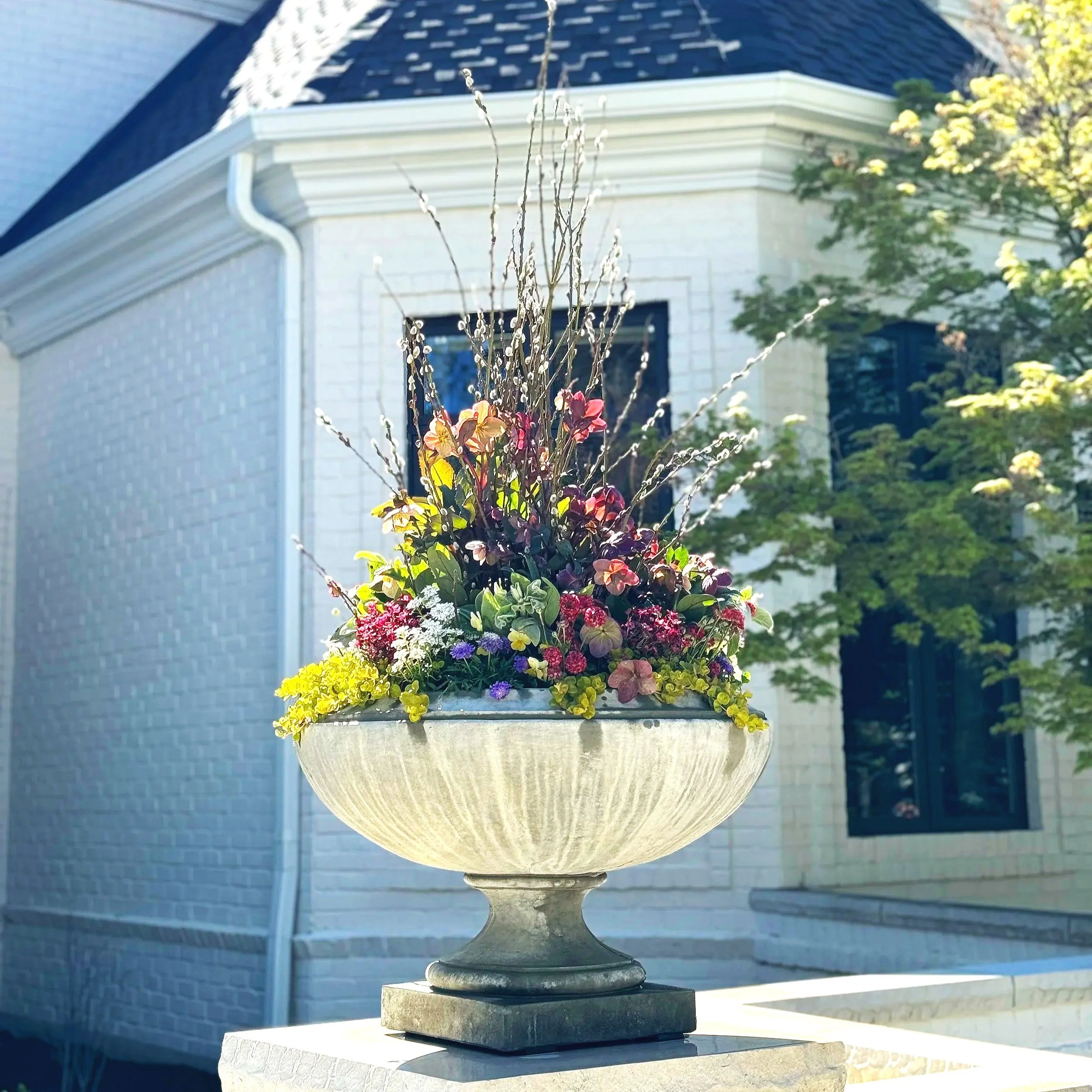 SIGNATURE - FULL SUN