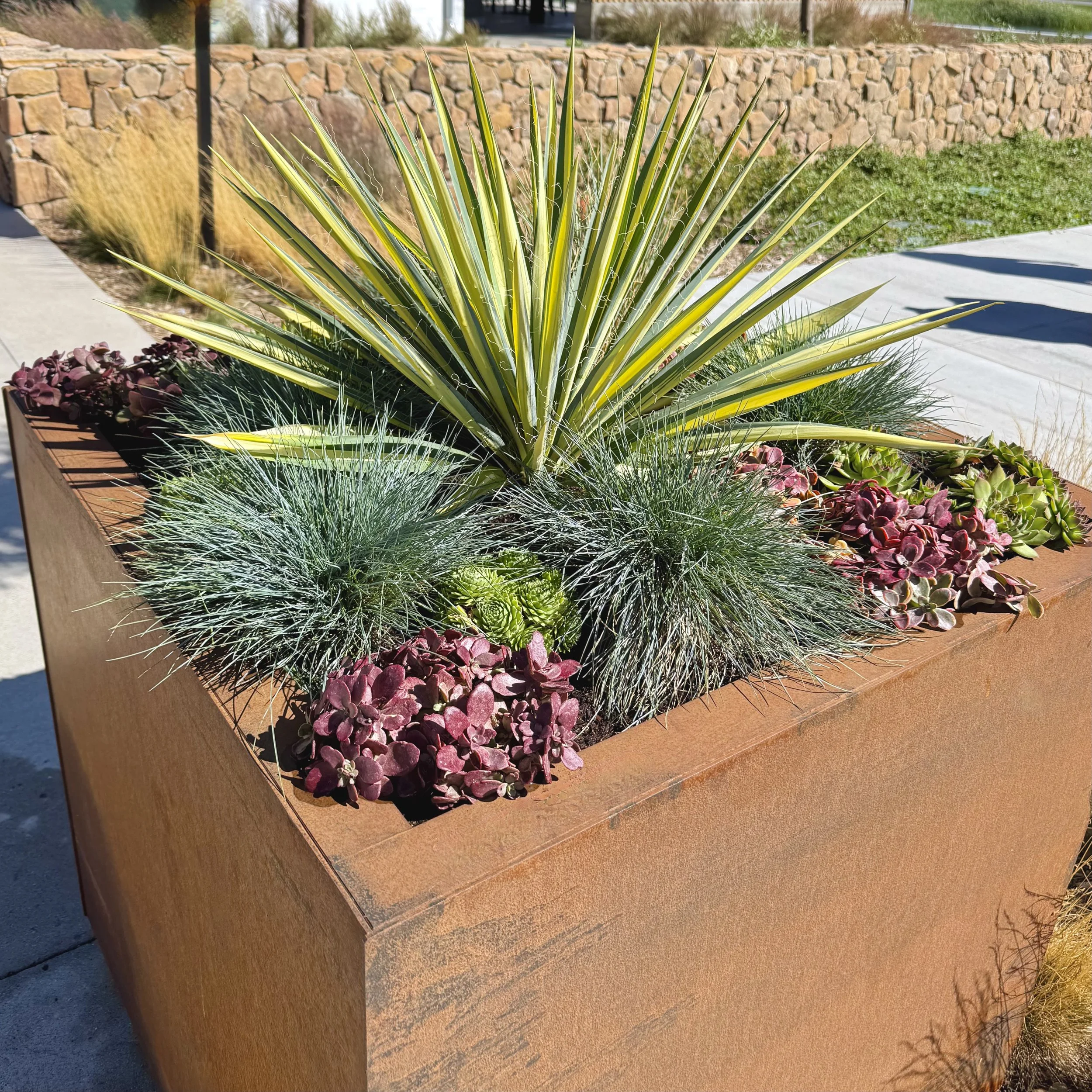 TRADITIONAL - WATERWISE