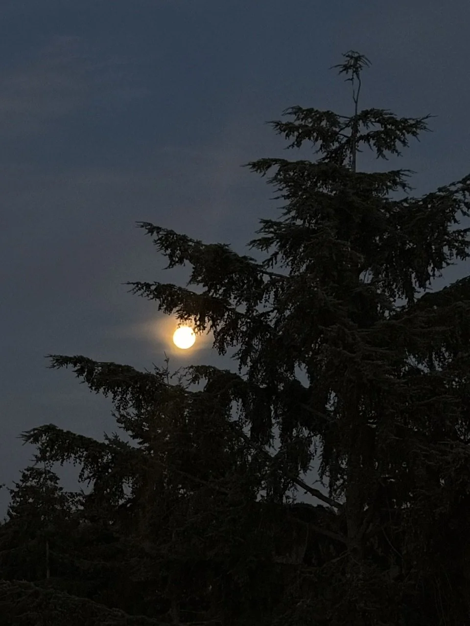 Aries Full Moon Mediation