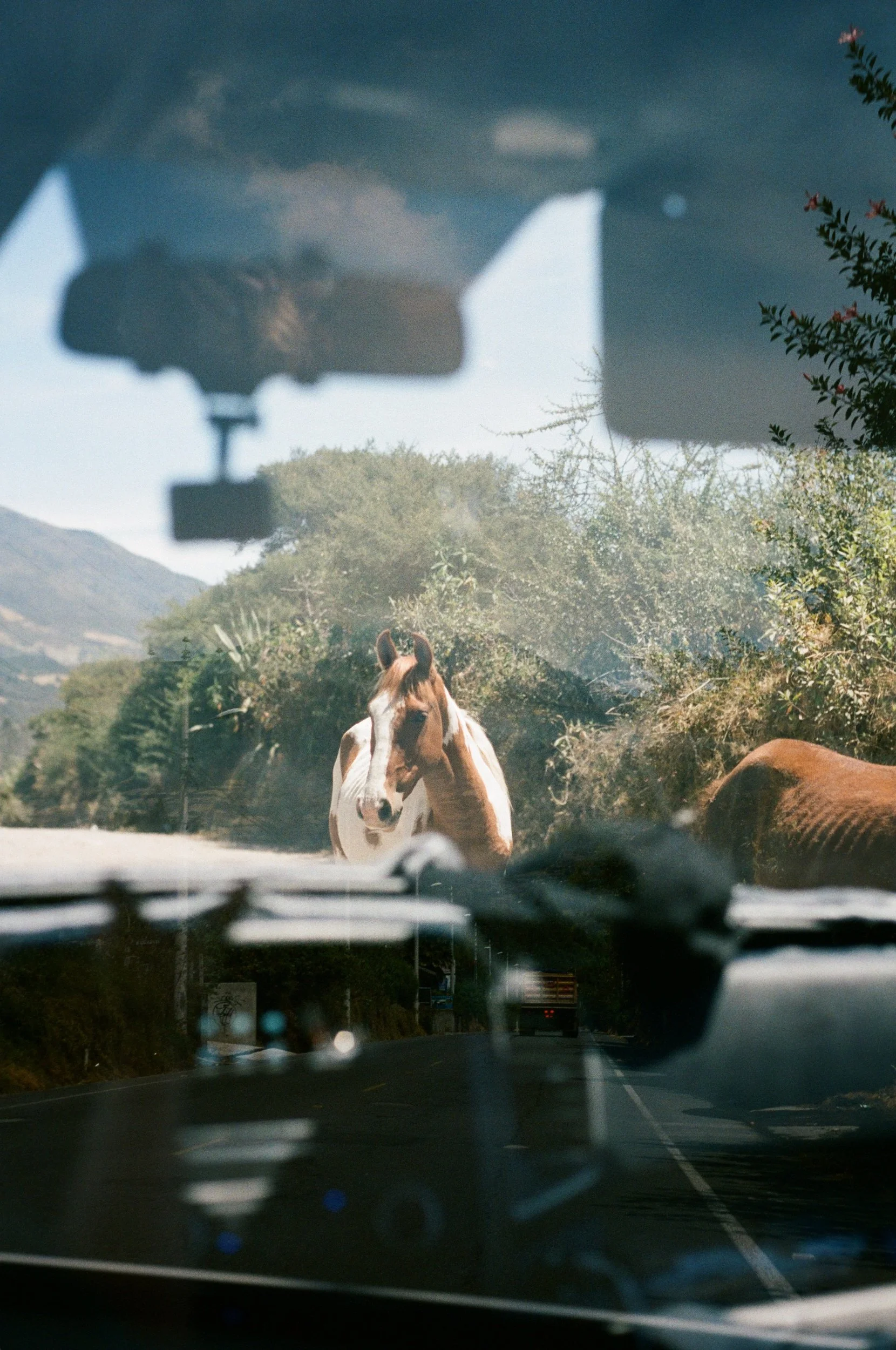 Screenshot 2024-11-19 at 12.51.54 PM.jpg