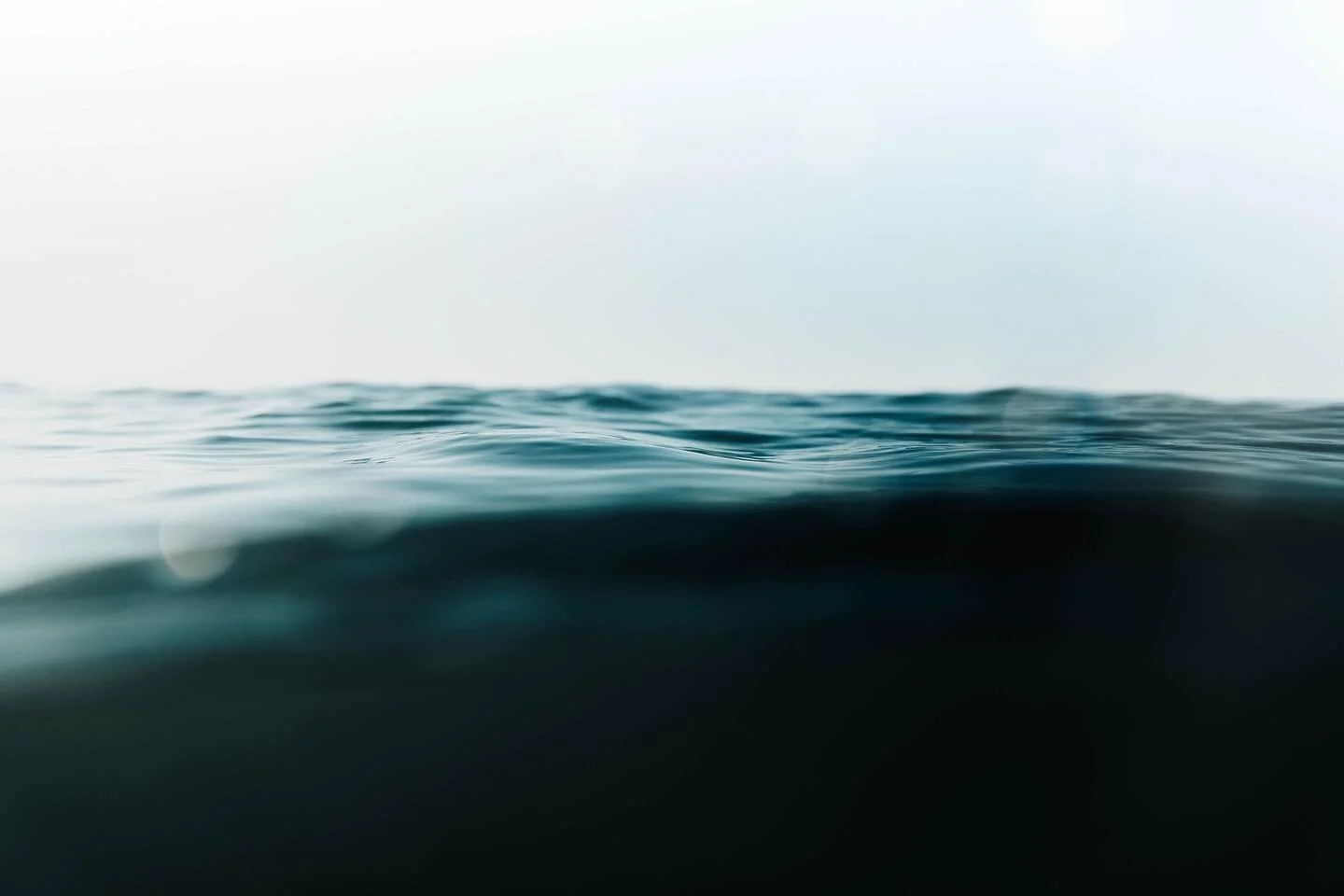 this is my new screensaver &amp;&amp; I&rsquo;m really stoked about it 🤩💃🏼