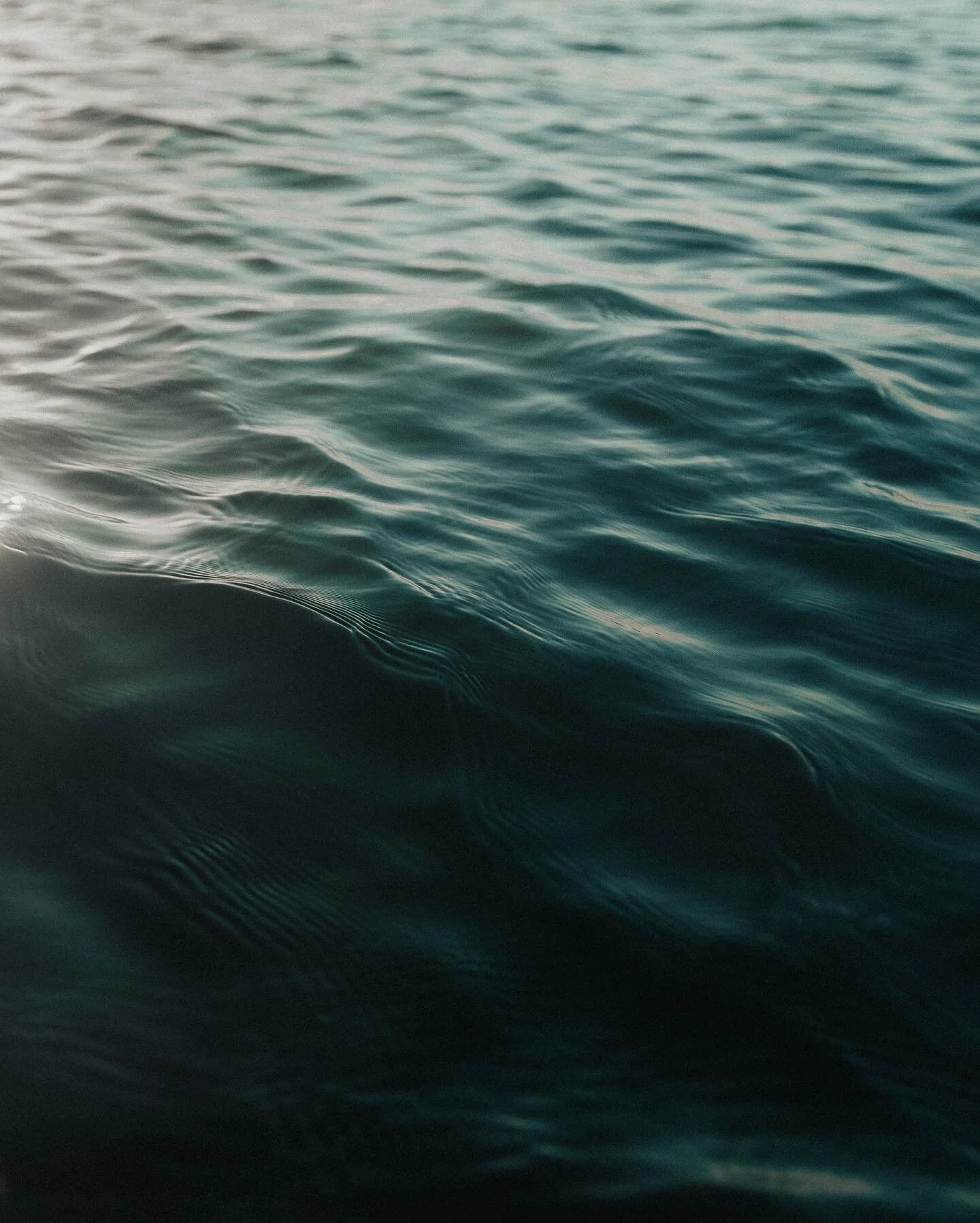 but darling the thing is, you are the light