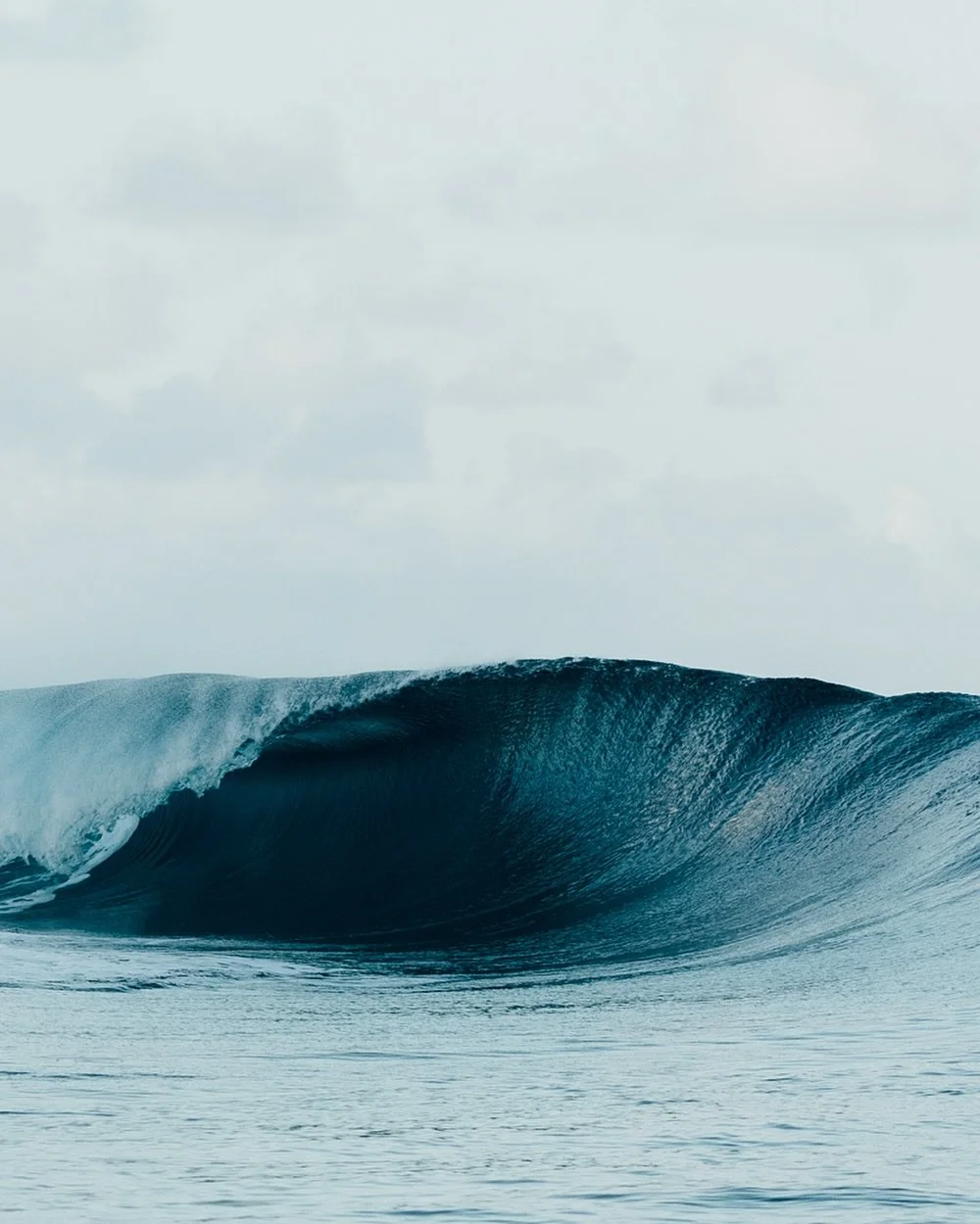 happy Friday friends ⚡️