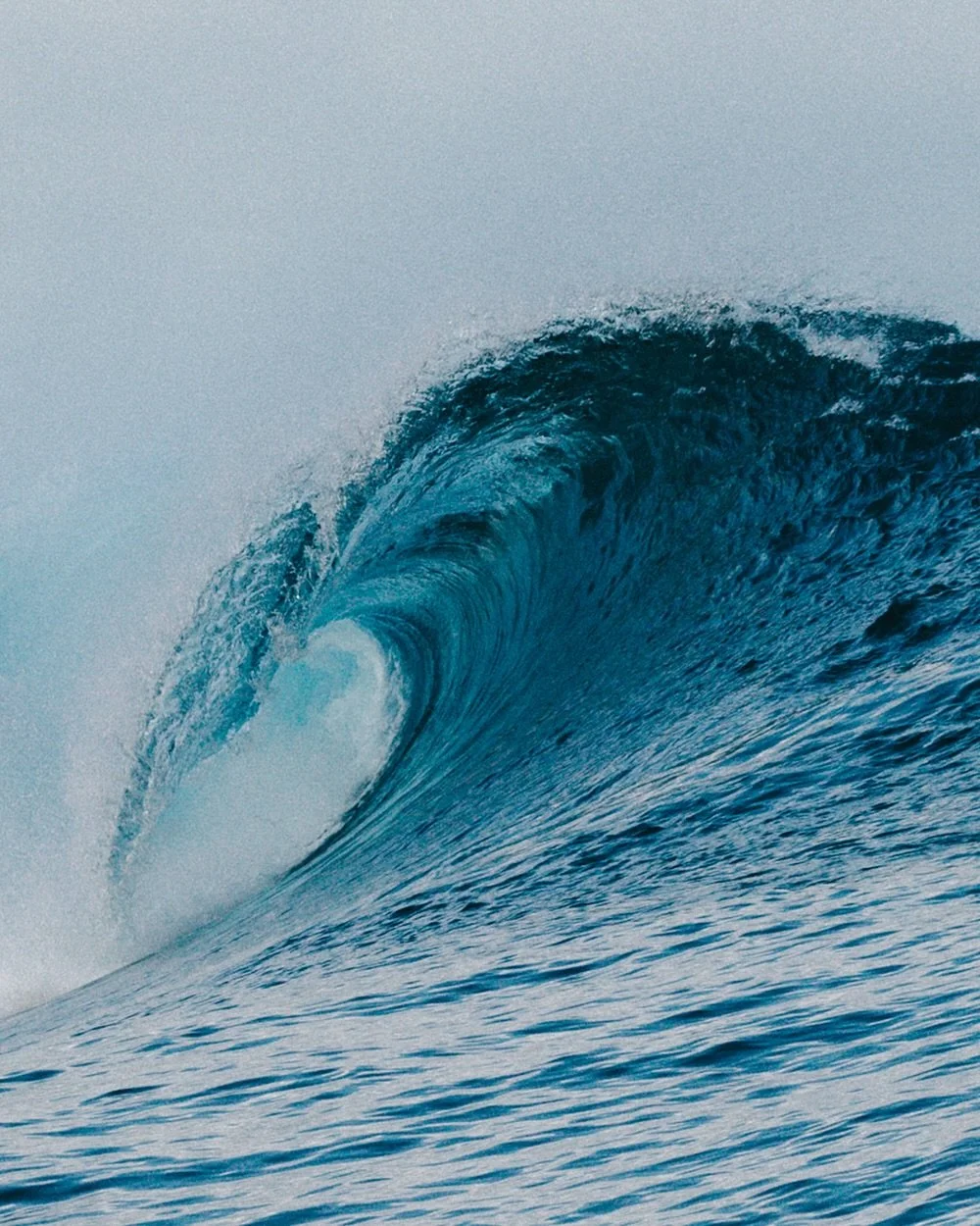 just might add this one to my print shop ❤️&zwj;🔥