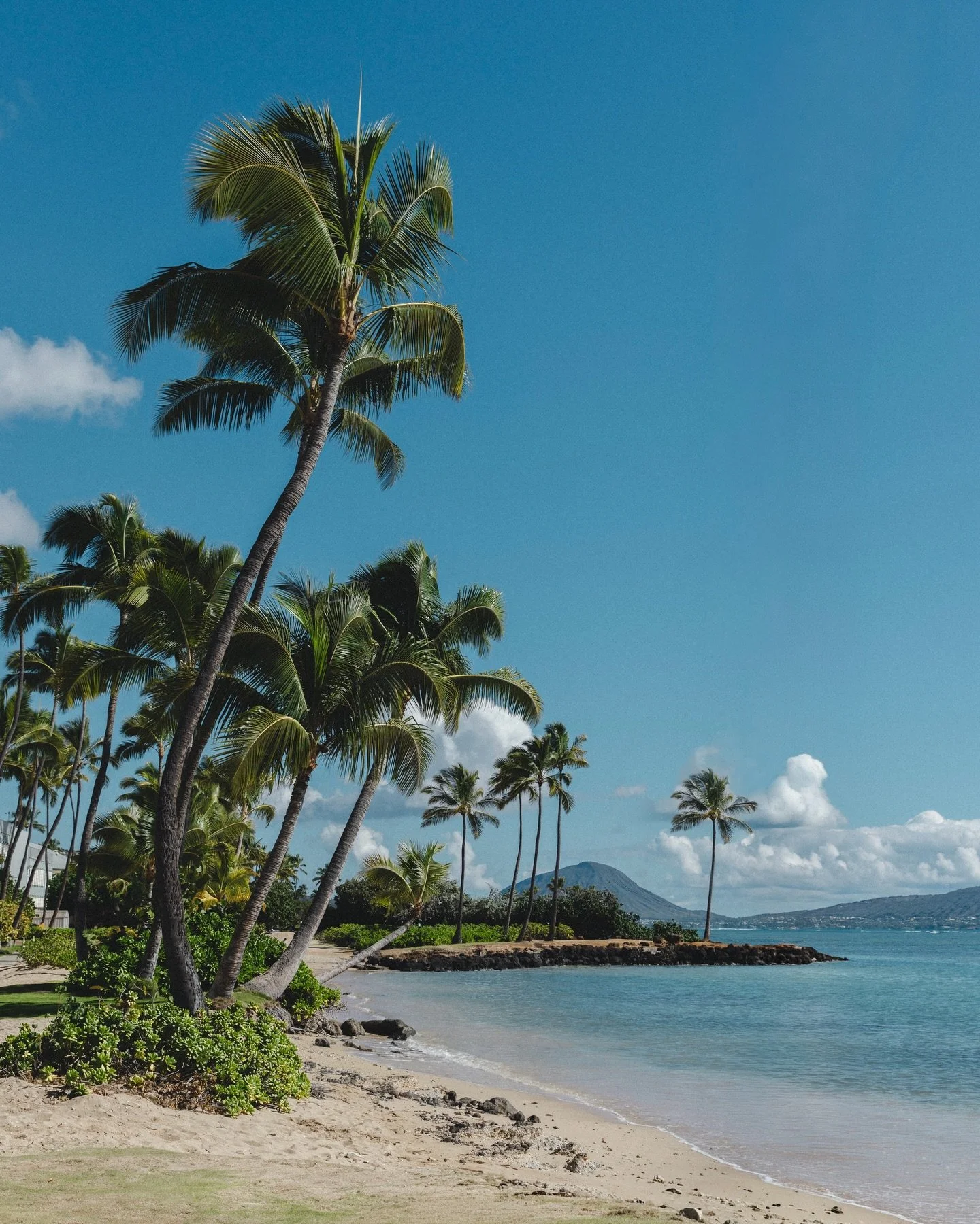 hawaii you&rsquo;ve been on my mind 💭 

as a lot of you know, the north shore of Hawaii has been hit hard with flooding. to help support, if you purchase a print from me 50% of the proceeds will go to help fund resources everyone needs, dm me to pur