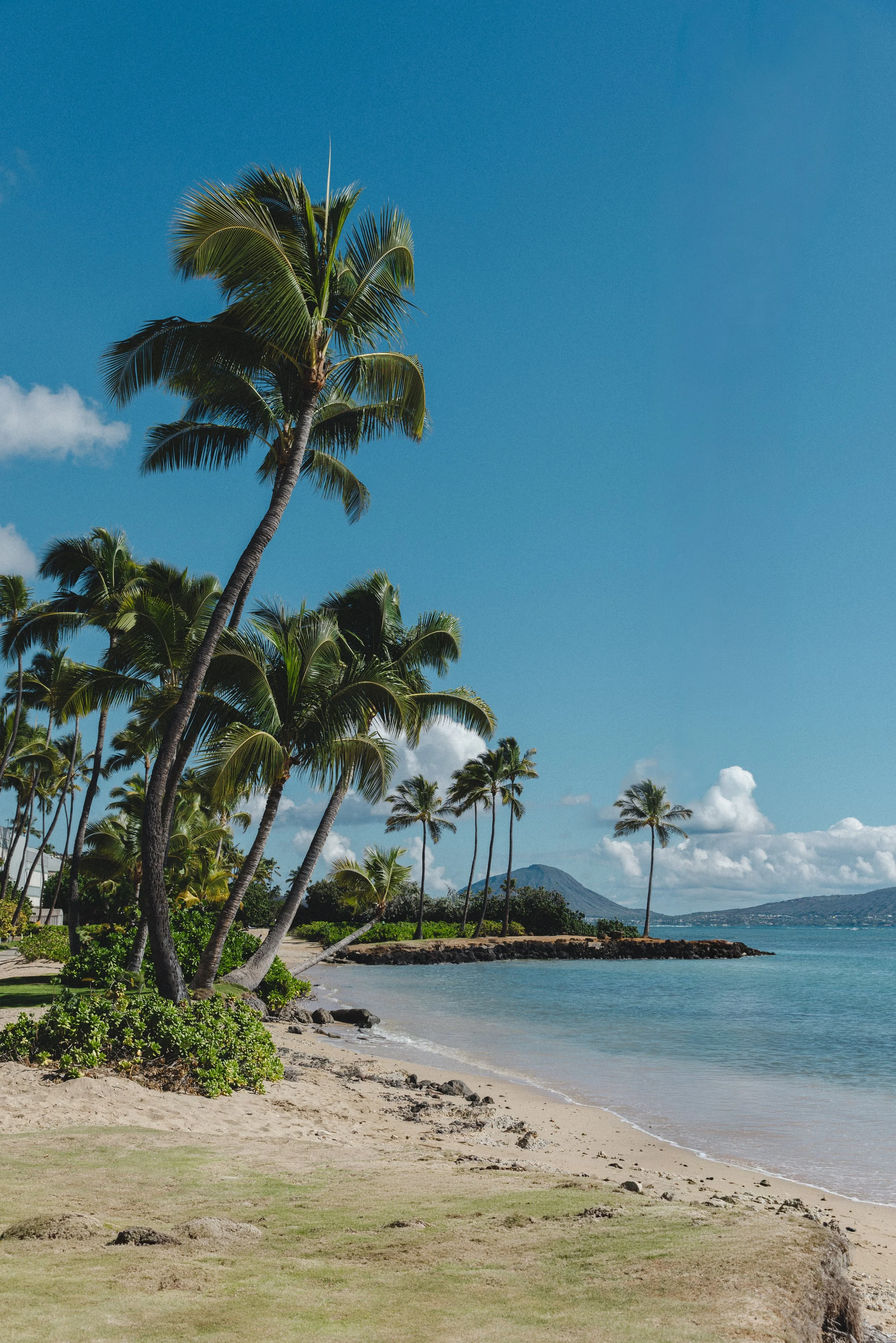 RX_DEC2025_HAWAII_CLAYFIELD_0206-Edit.jpg