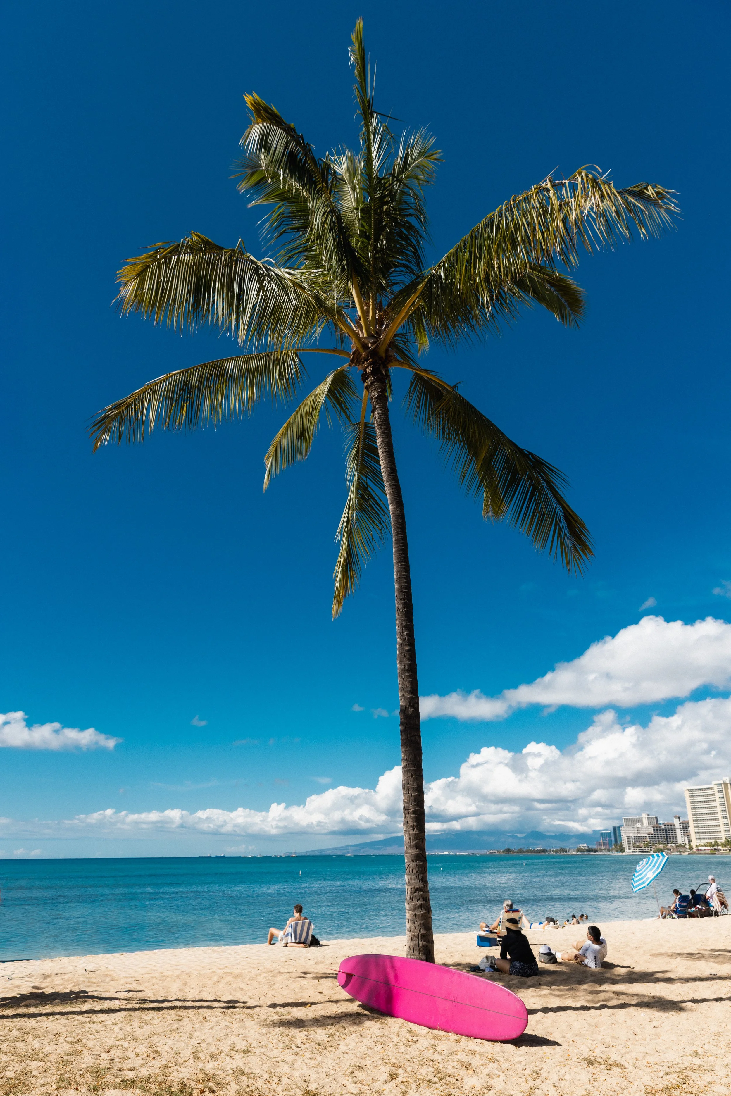RX_DEC2025_HAWAII_CLAYFIELD_0023.jpg