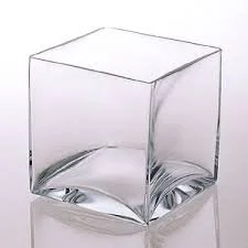 clear cube vase.jpg