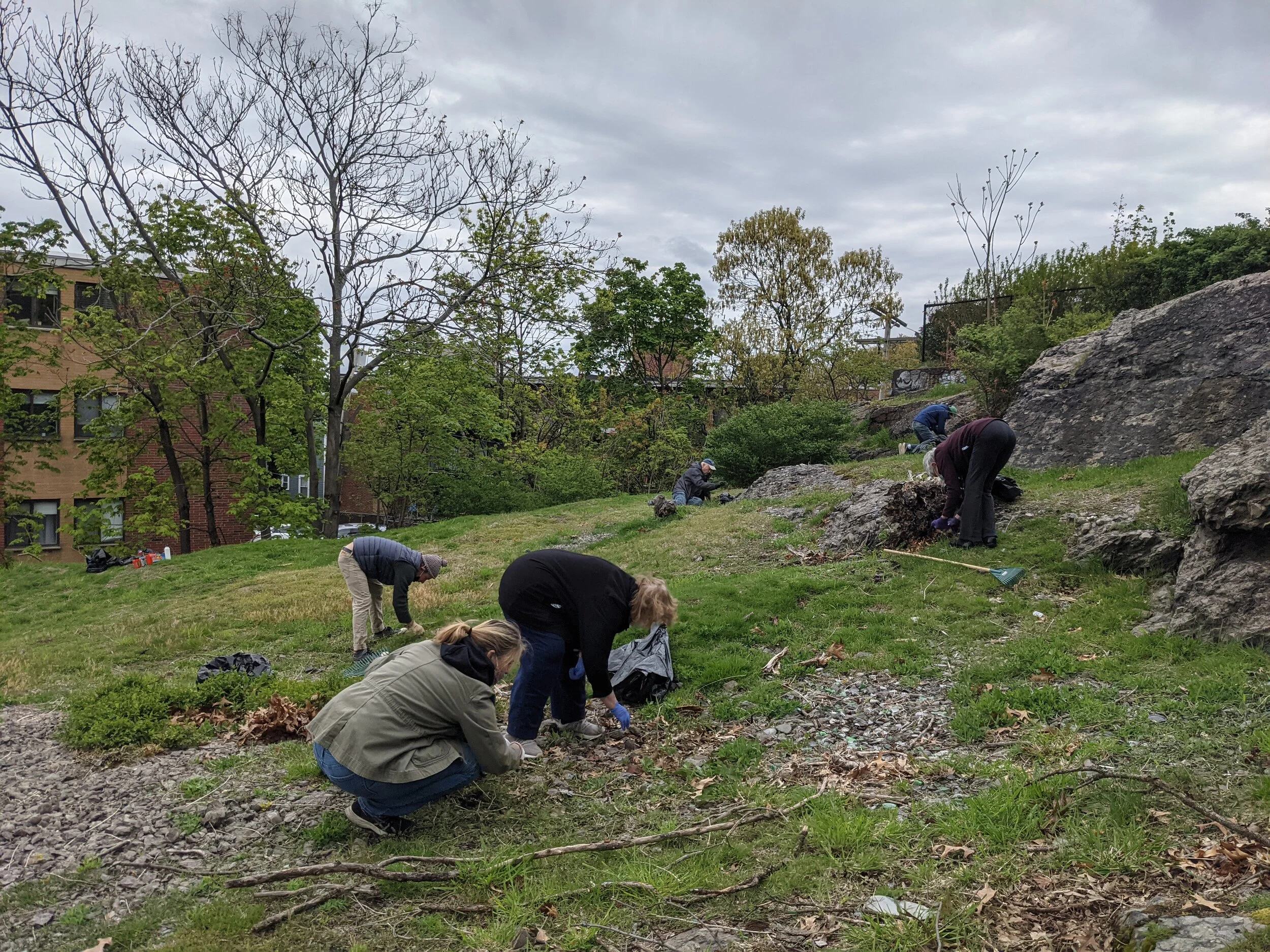 Planting for Wildlife Workday at Savin Hill Wildlife Garden