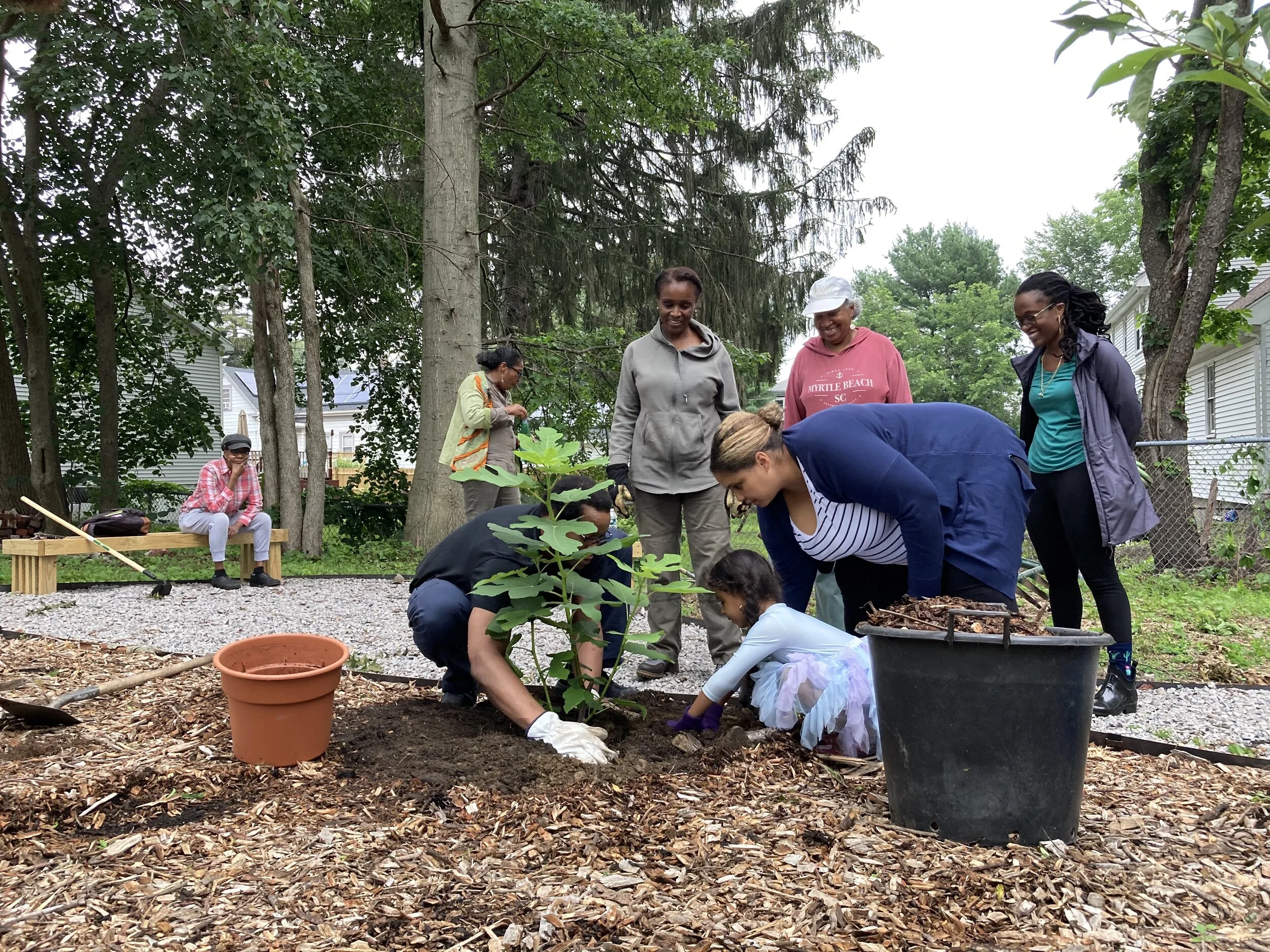 Edgewater Food Forest at River Street — Boston Food Forest Coalition