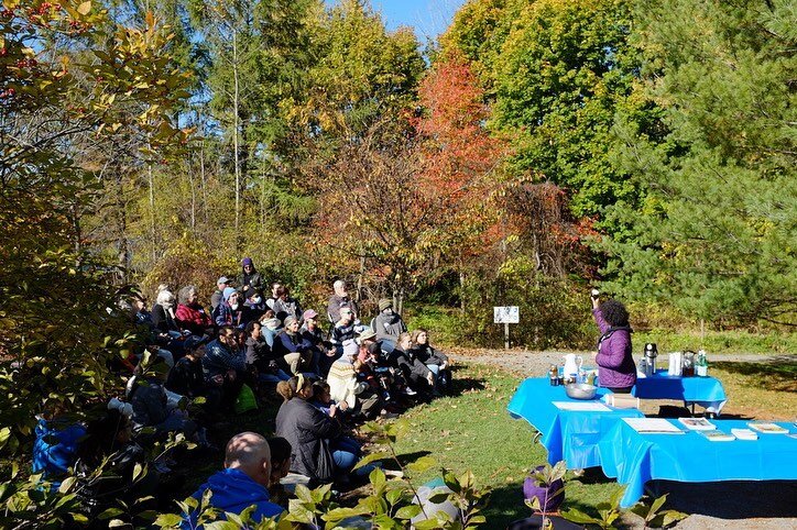 On Saturday, October 29, BFFC hosted Stewarding Change: A Fall Gathering and Steward Appreciation Event. 🍂

The event was an opportunity to gather intentionally in community, to celebrate the amazing work of BFFC&rsquo;s food forest stewards, and to