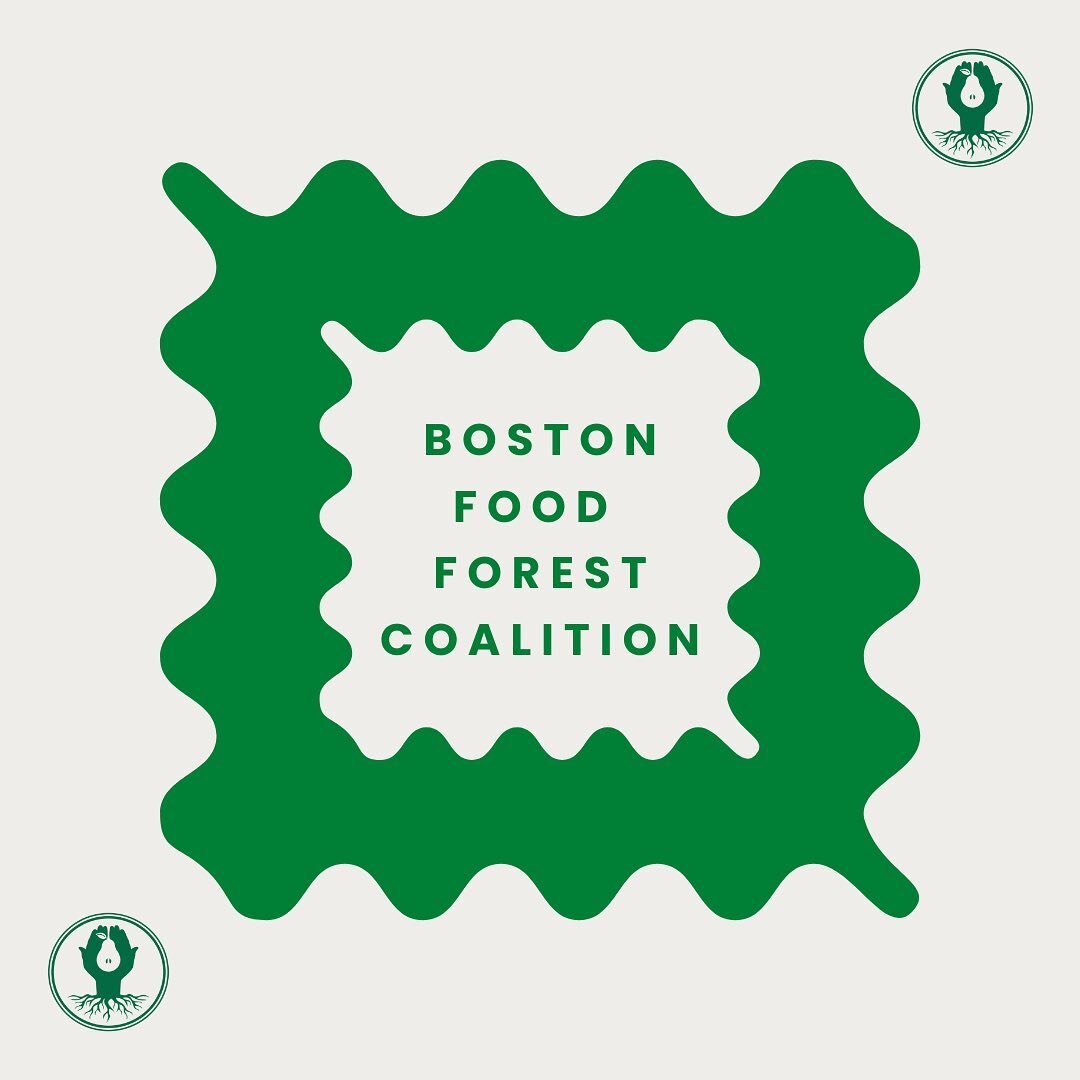 We've noticed some new followers on here recently, so we thought we'd take a moment to reintroduce ourselves to those of you who are new ~ 🍎🌲👩🏾&zwj;🌾

Boston Food Forest Coalition (BFFC) works at the intersection of green space equity and climat