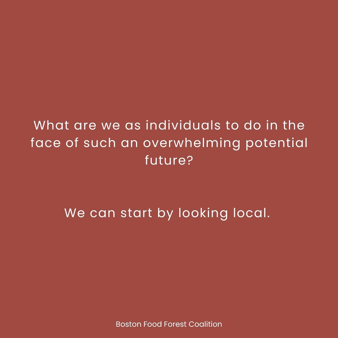 This Giving Tuesday, give a gift with roots. 

Support tangible, local efforts toward a climate-ready Boston by joining our first grassroots fundraising network &mdash; the Friends of the Food Forest. 

Learn more and participate at bostonfoodforest.