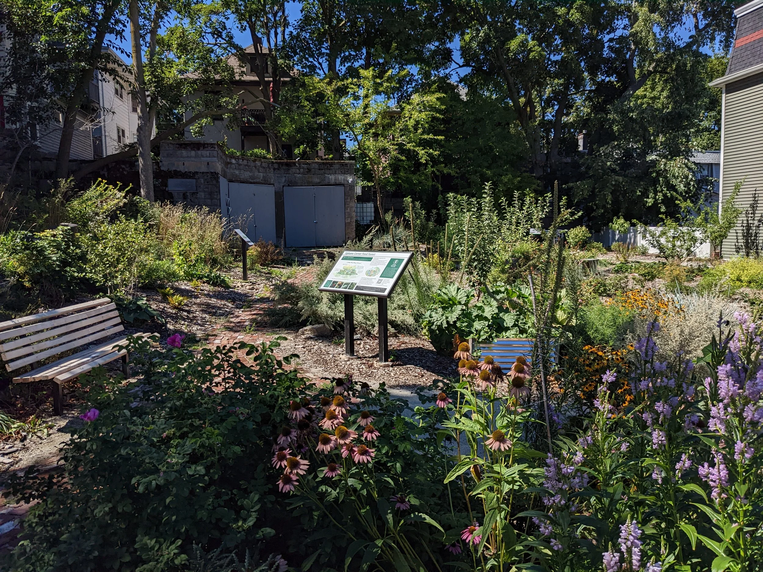 Memorial Day Decoration and Workday at Upham's Corner Food Forest