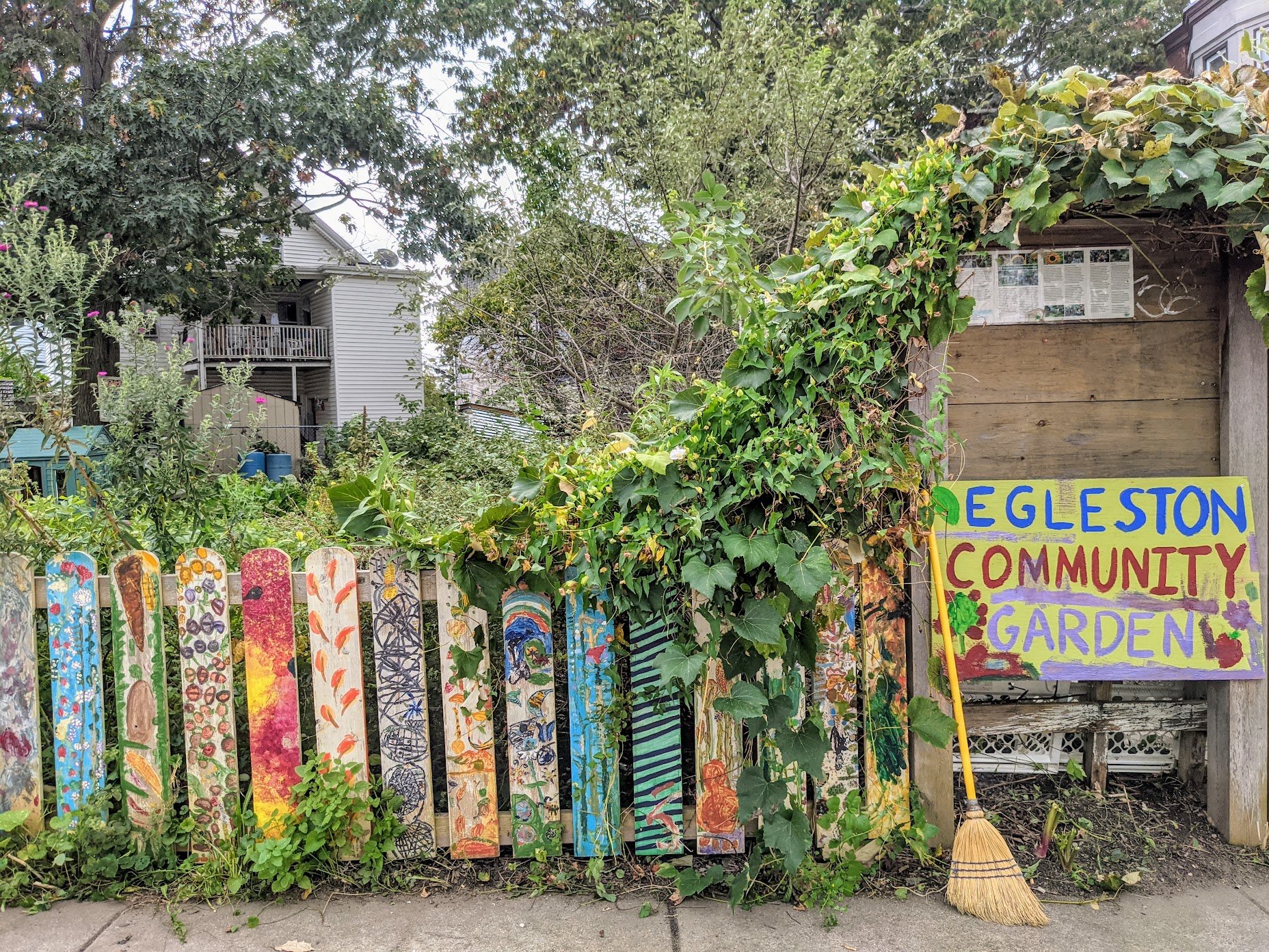 Workshop: Native Shrubs 101