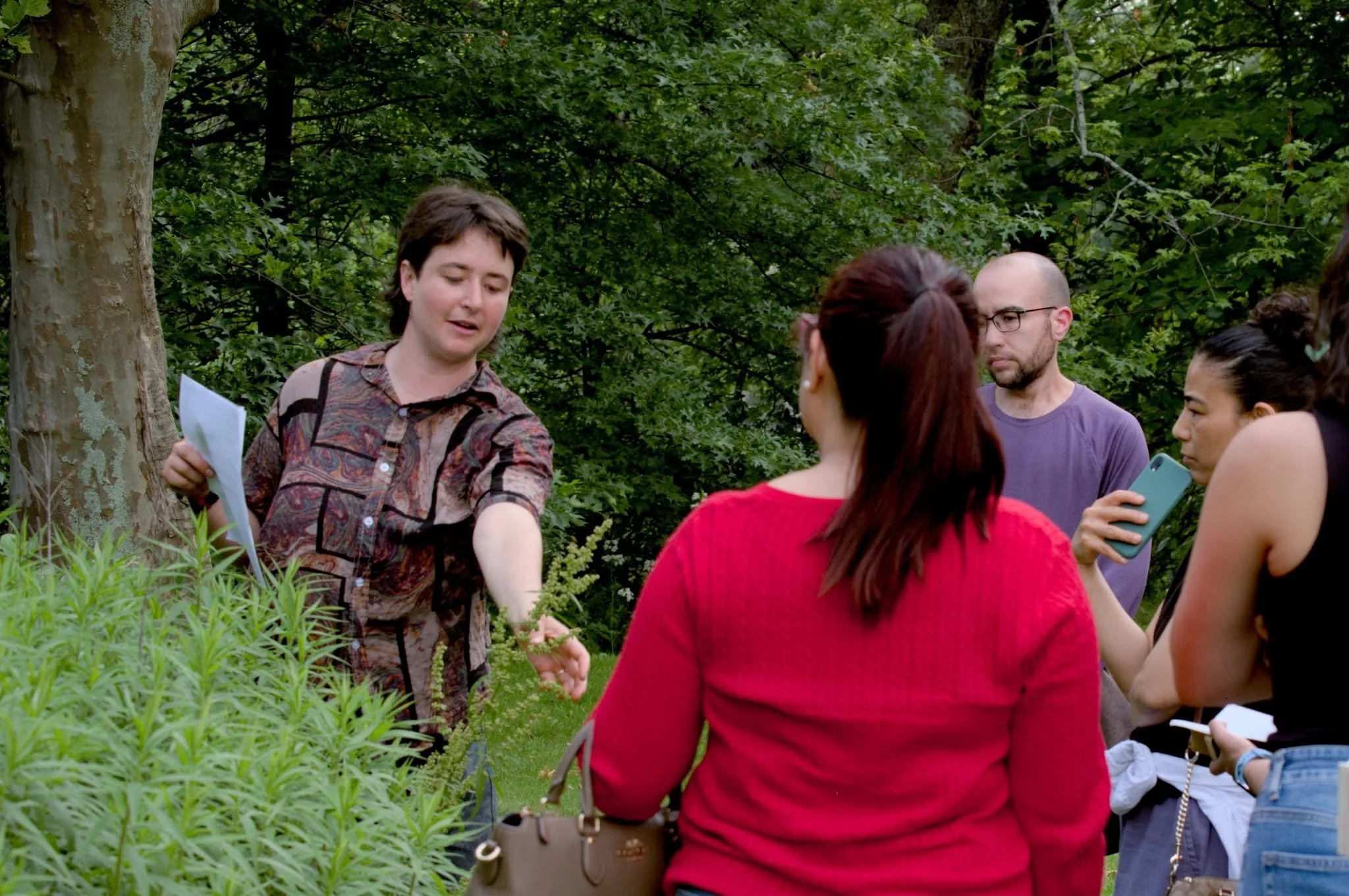 WORKSHOP: Mugwort Magic