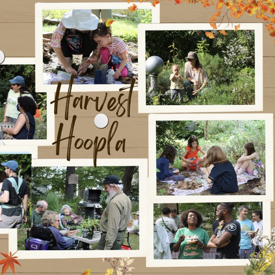 Leland Garden Harvest Hoopla