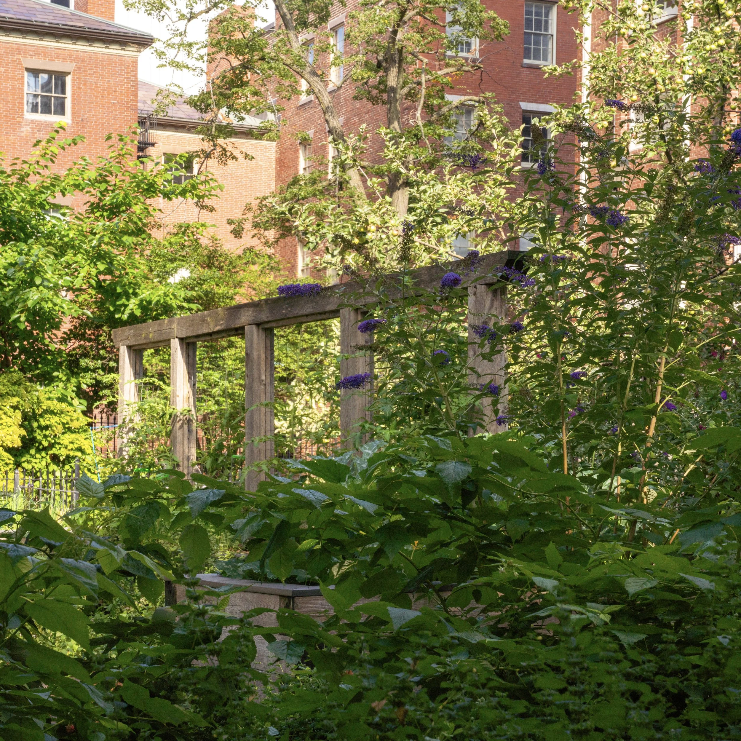 Pollinator Garden Visioning Workshop