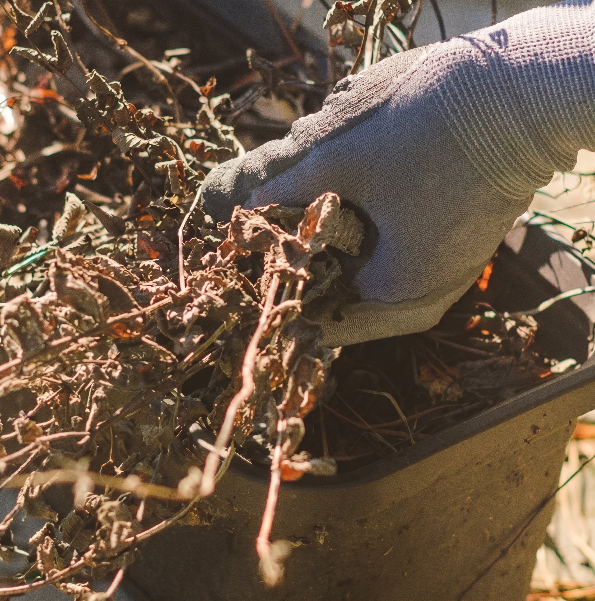 SPECIAL WORKDAY: Resting of the Land at Old West Church