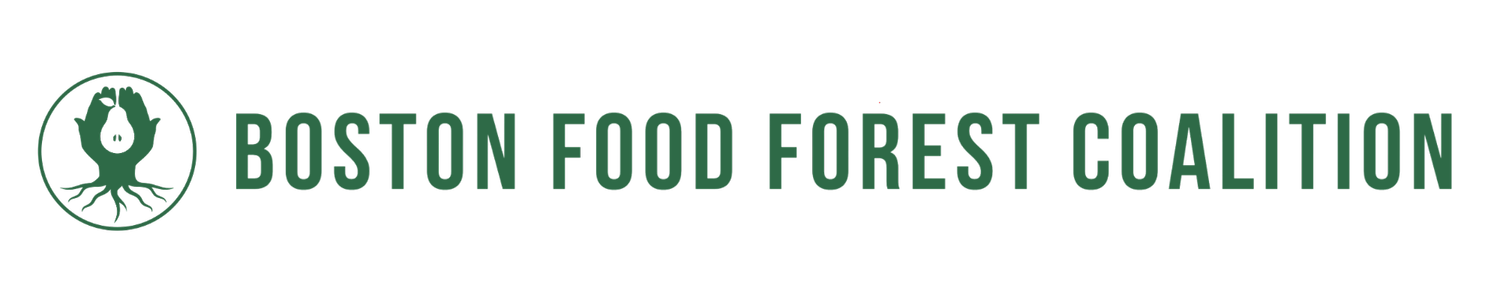 Boston Food Forest Coalition
