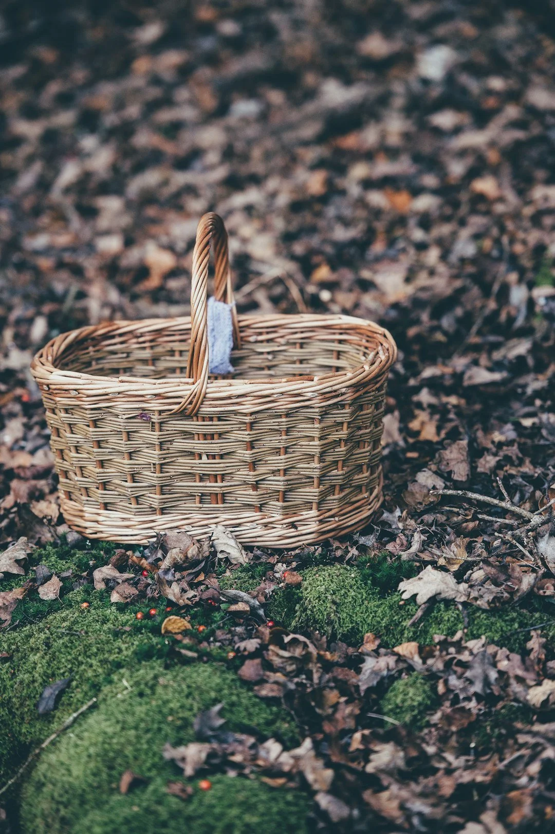 unsplash-image-qG37GMUDAJ0-basket-weaving.jpg