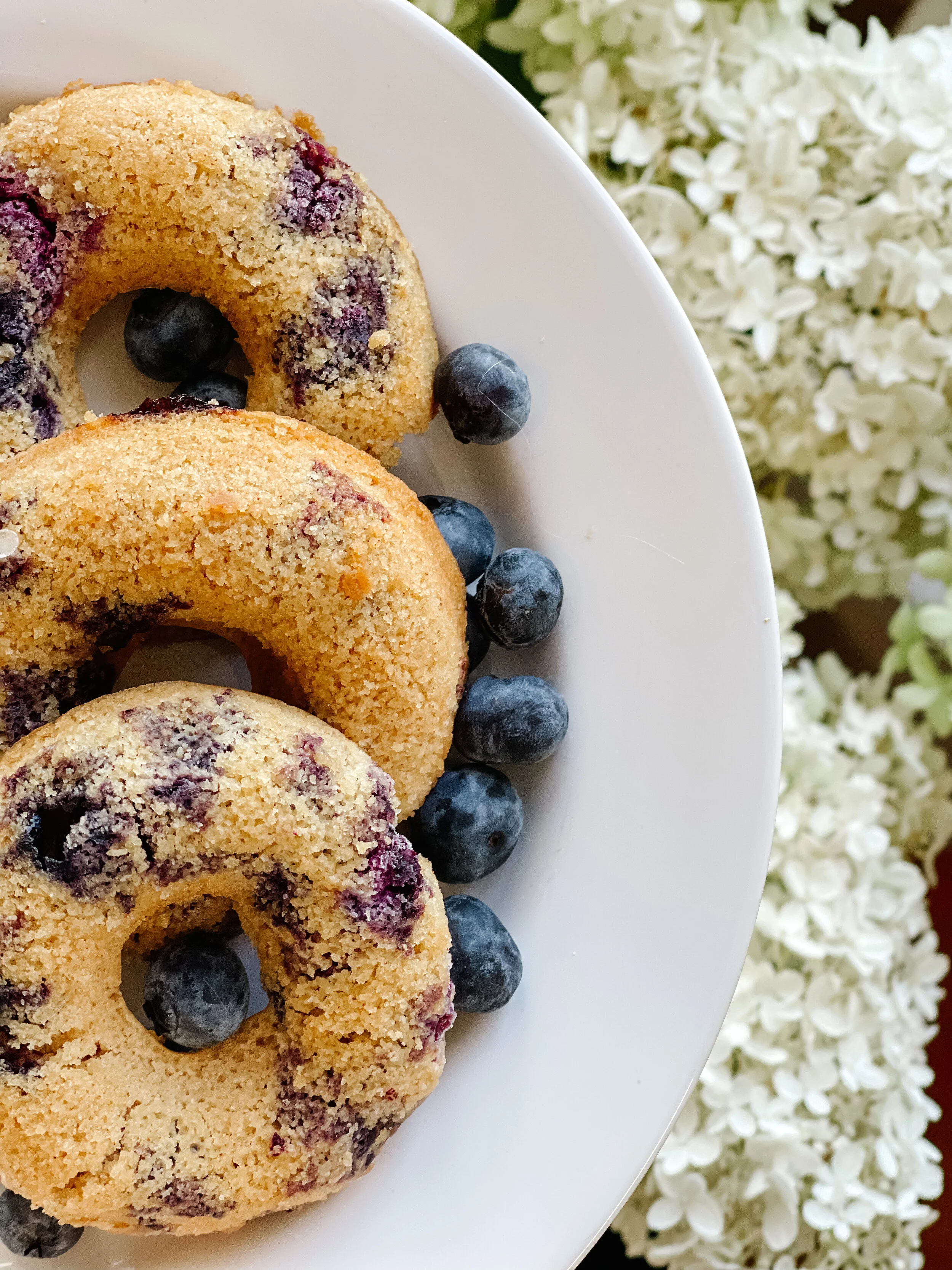Gluten Free Blueberry Doughnuts  