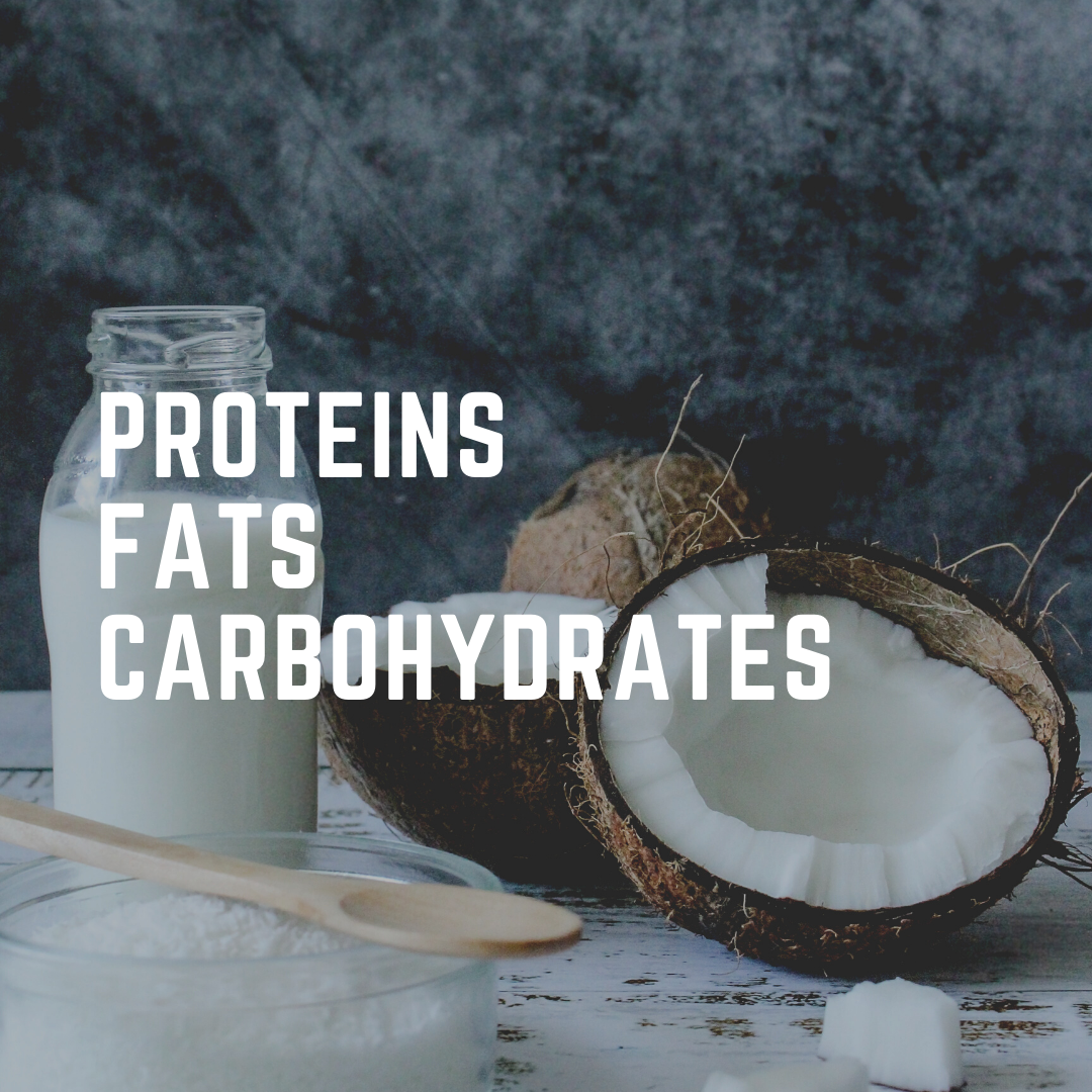 Week 3 - Proteins, Fats &amp; Carbohydrates