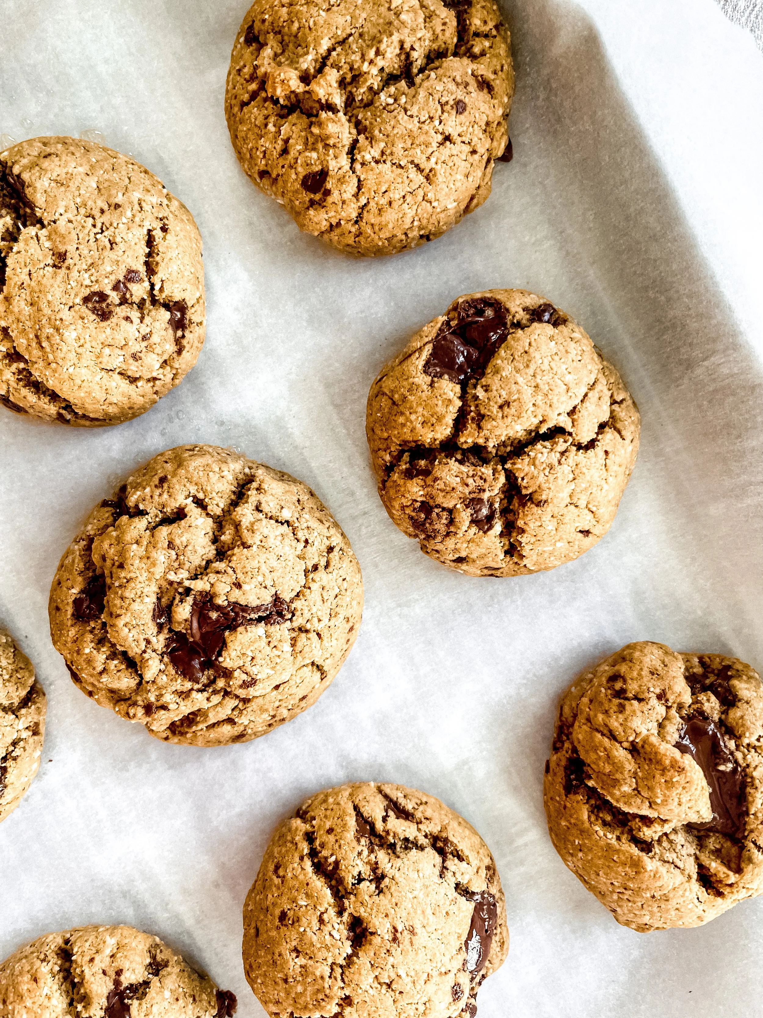 Peanut Butter Chocolate Chip Cookies