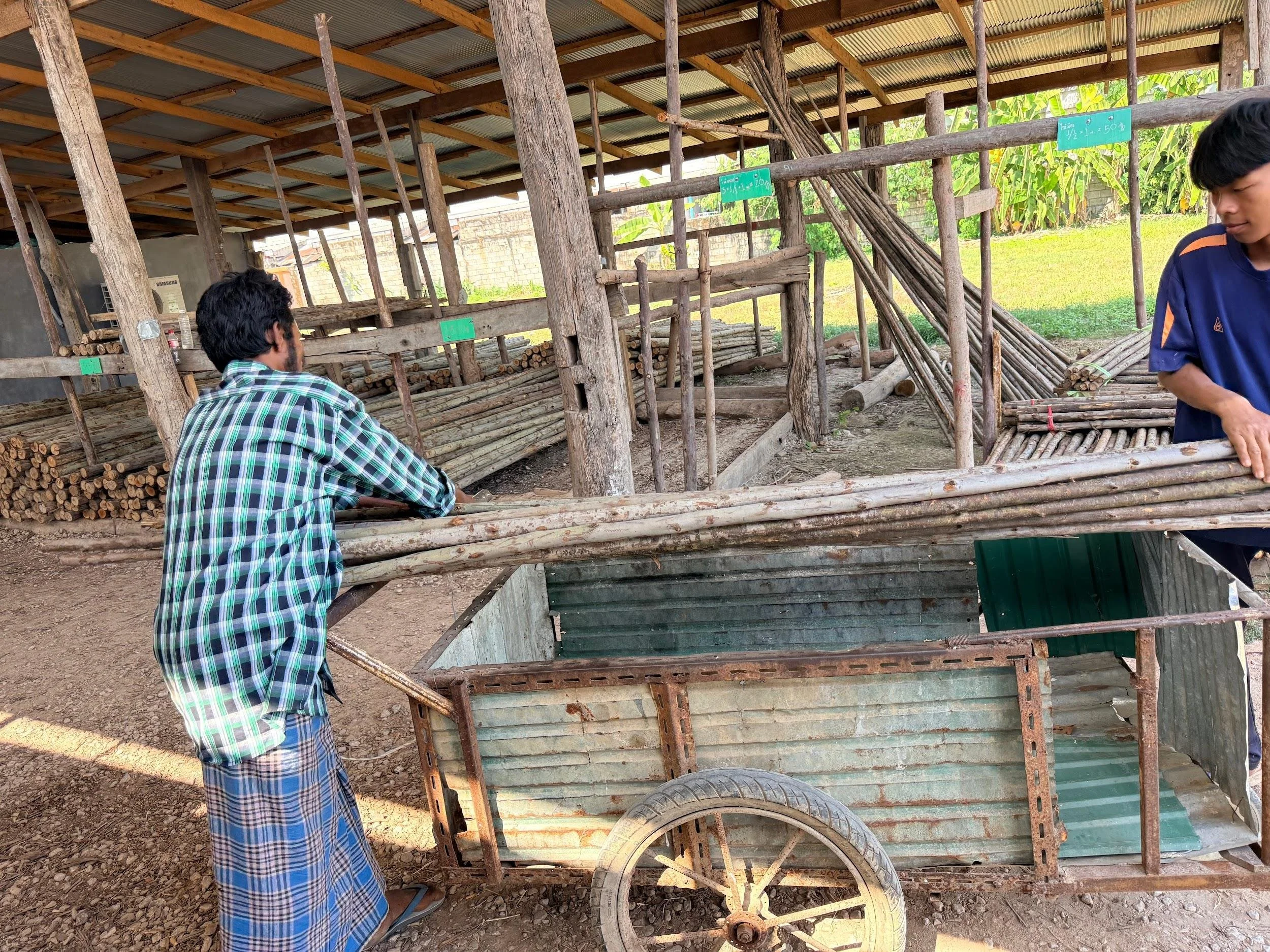 A Flock of New Beginnings