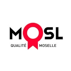 wision-clients-mosl.jpg