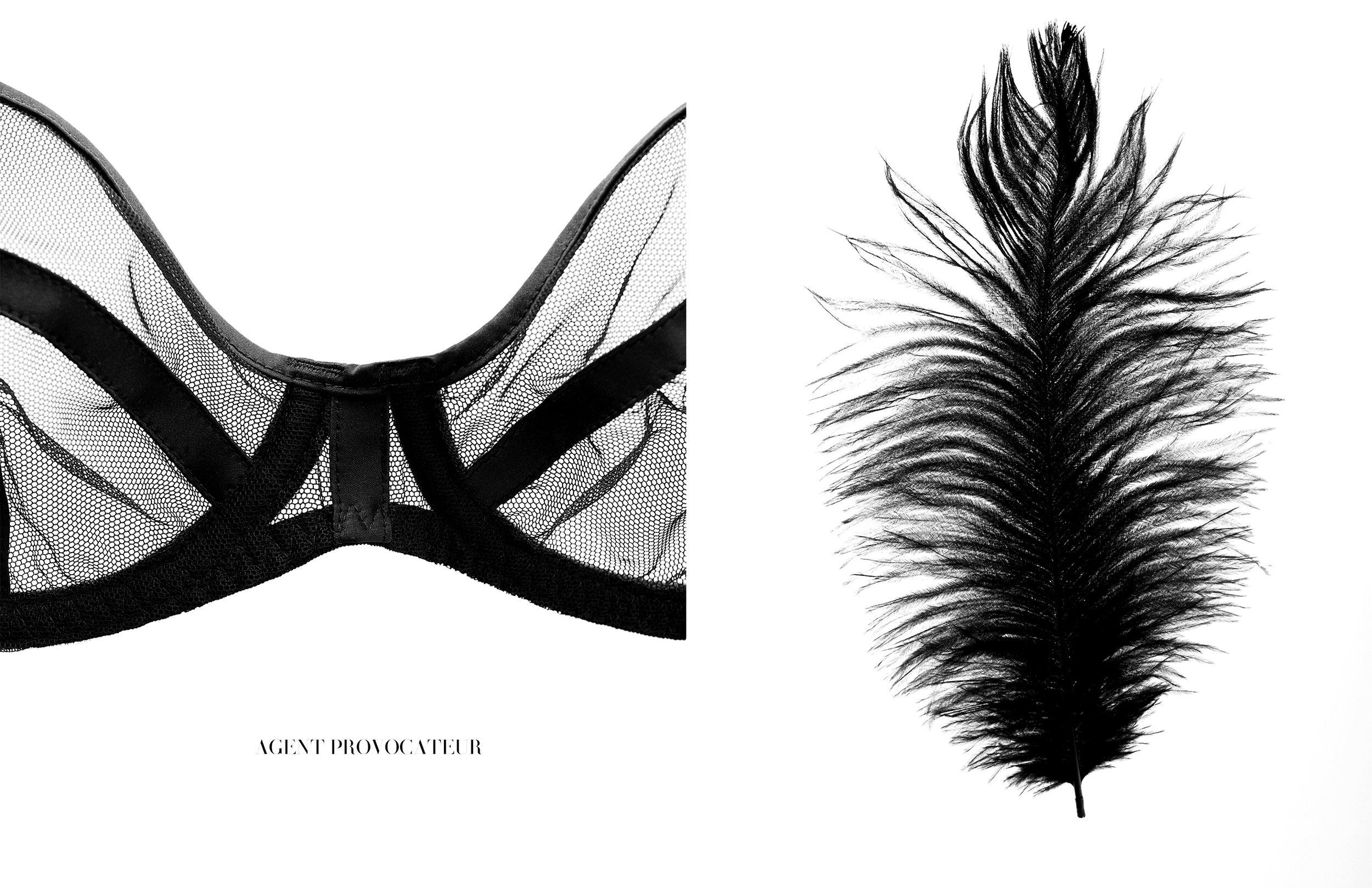 POETIC_3layout copy.jpg