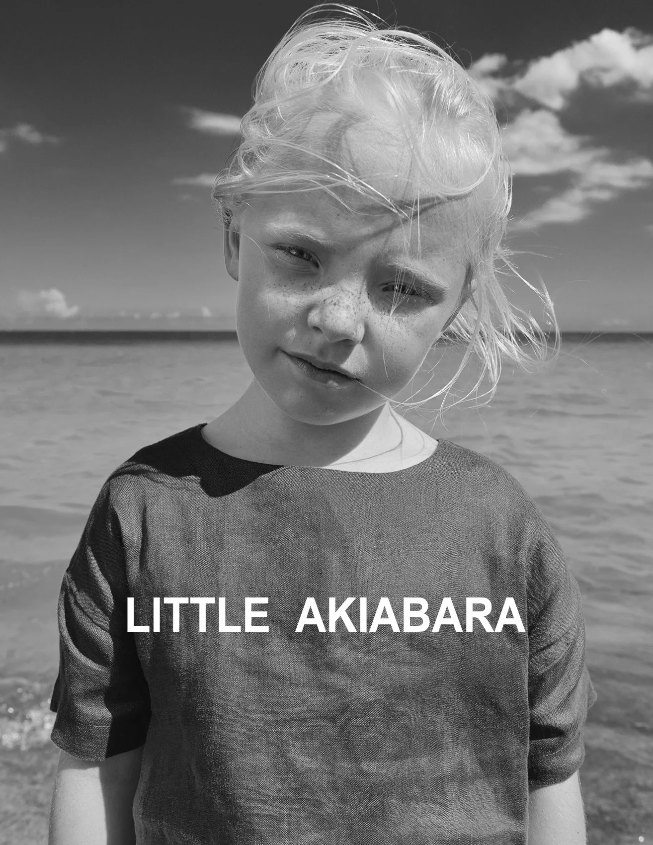 _LittleAkiabara 15 copycrop.jpg