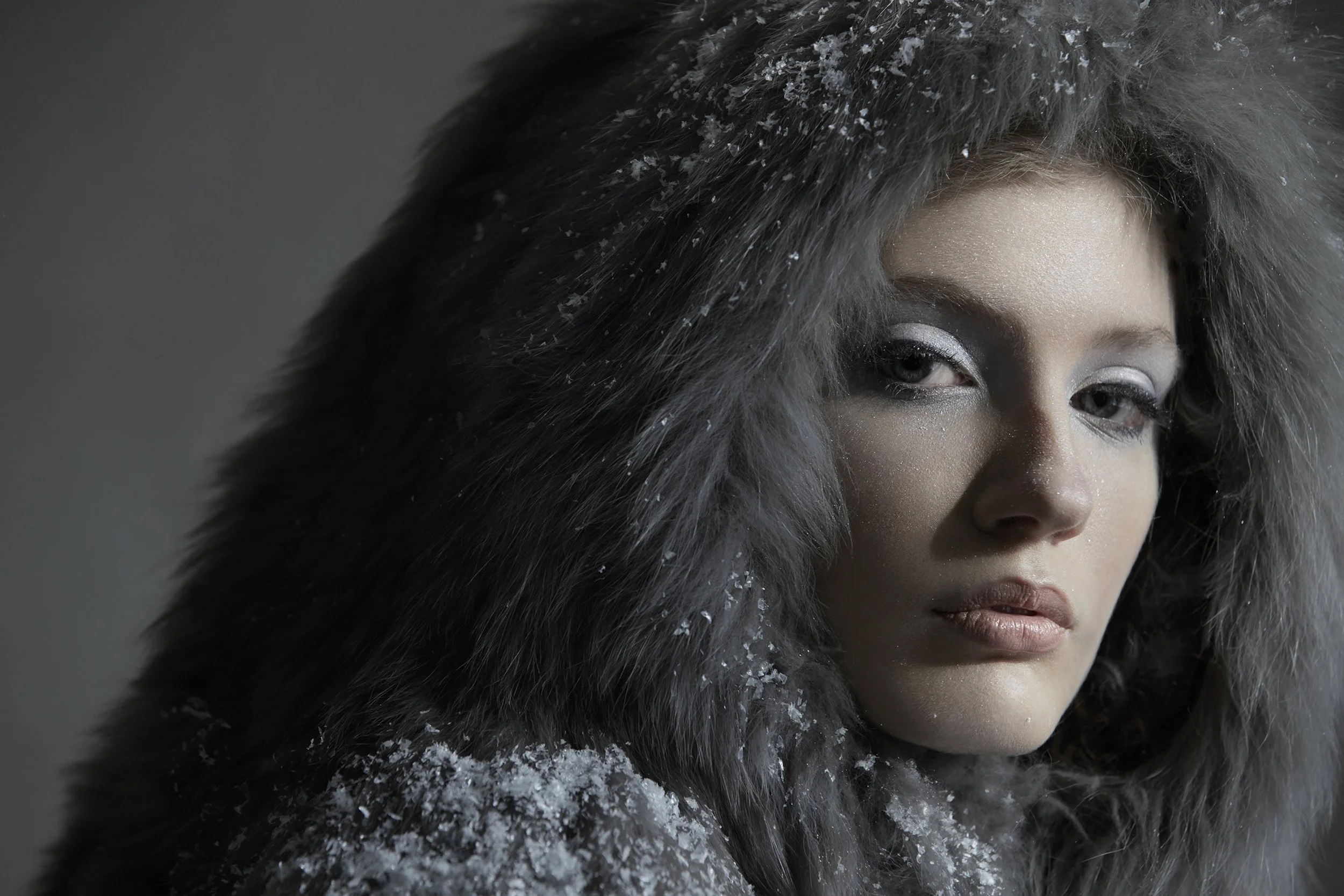 snowday_323A9648 copy.jpg