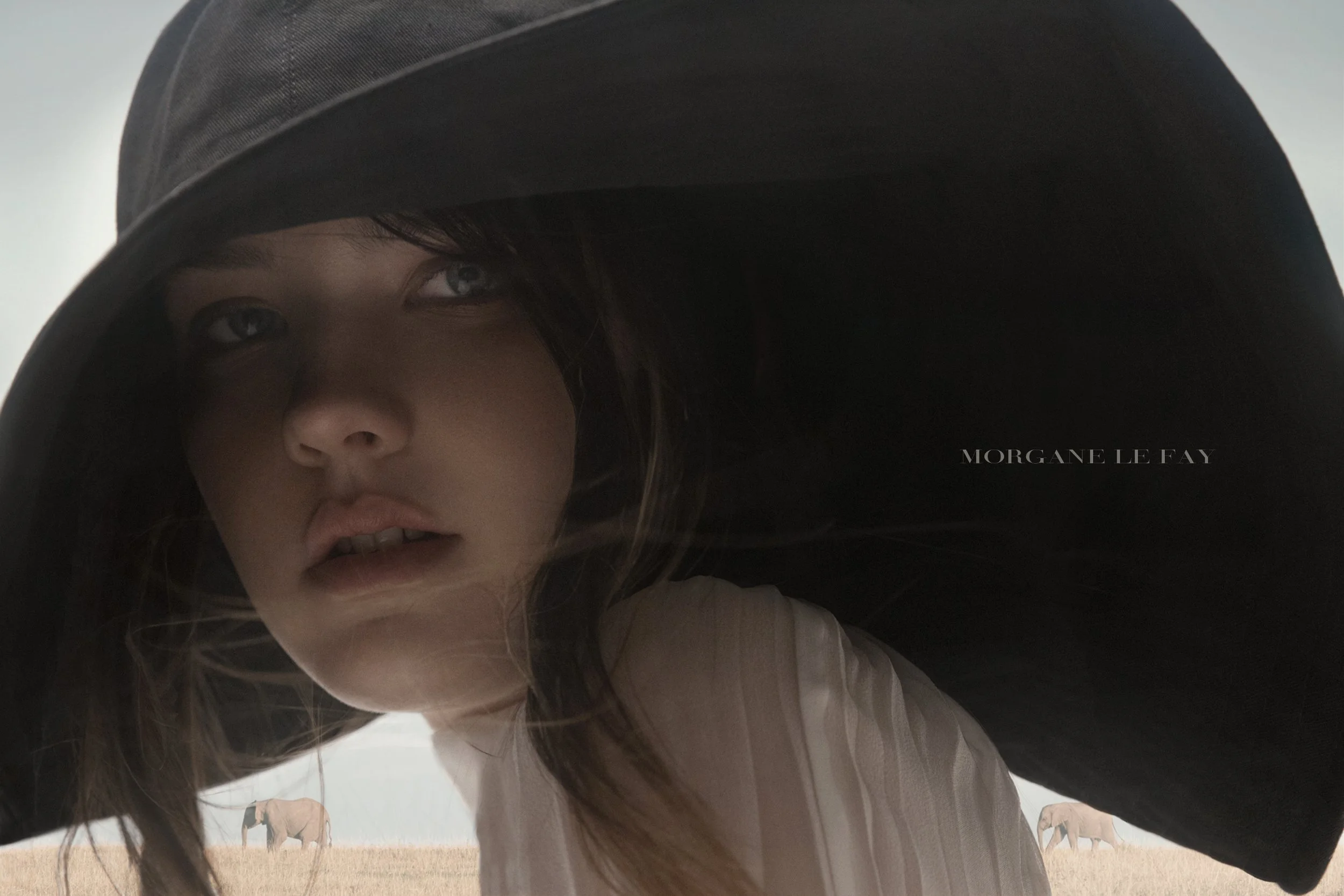 MORGANE-LE-FAY-8681FIN.jpg