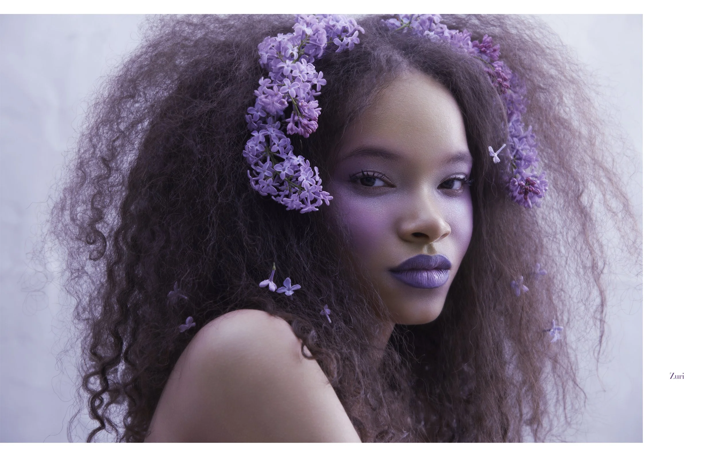 PURPLEHAZElayout copy3.jpg