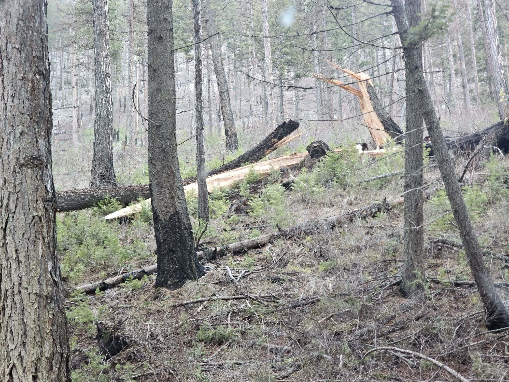 Big Winds &amp; Cleaning Up