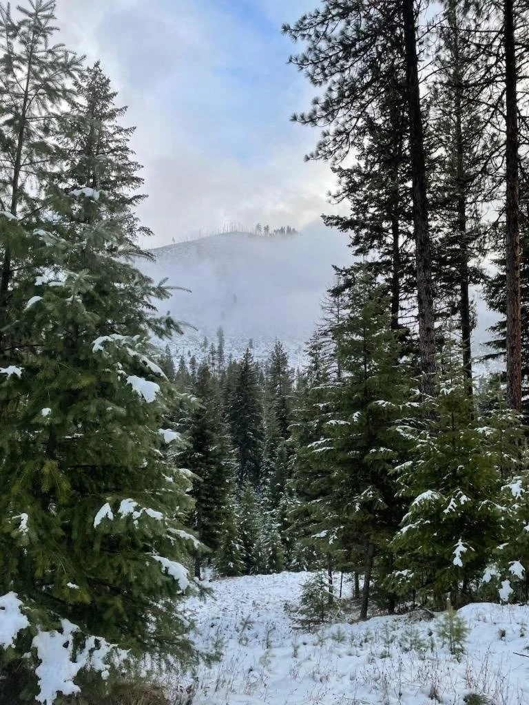 Sitting, Sangha &amp; Self Care