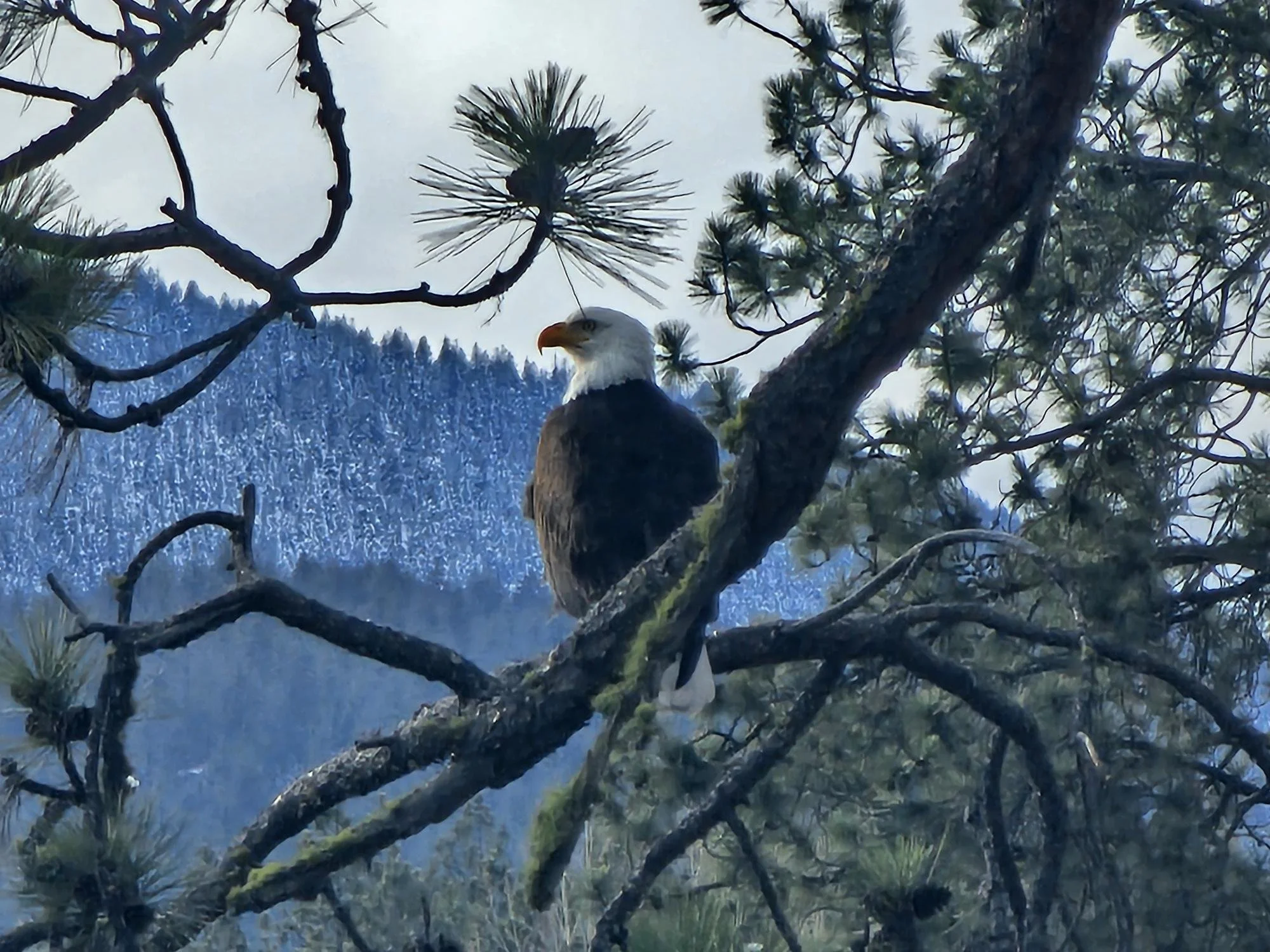 The Kind of Life We Live