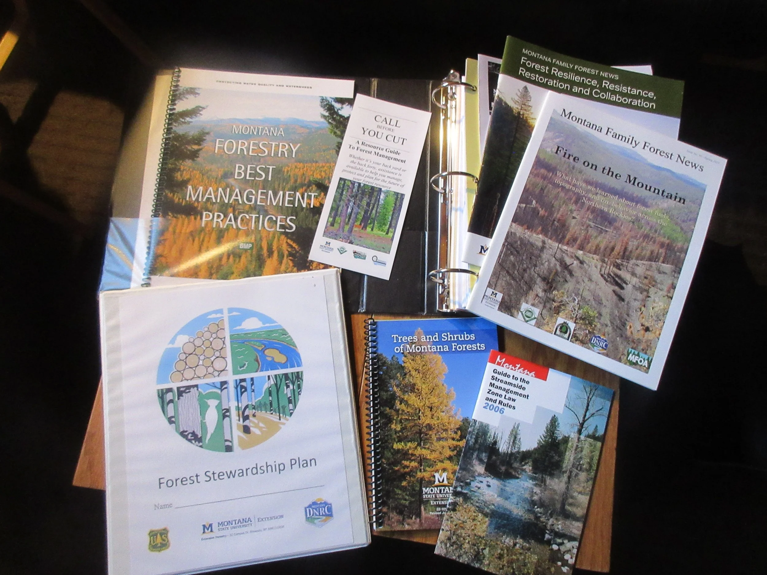 Forest Stewardship