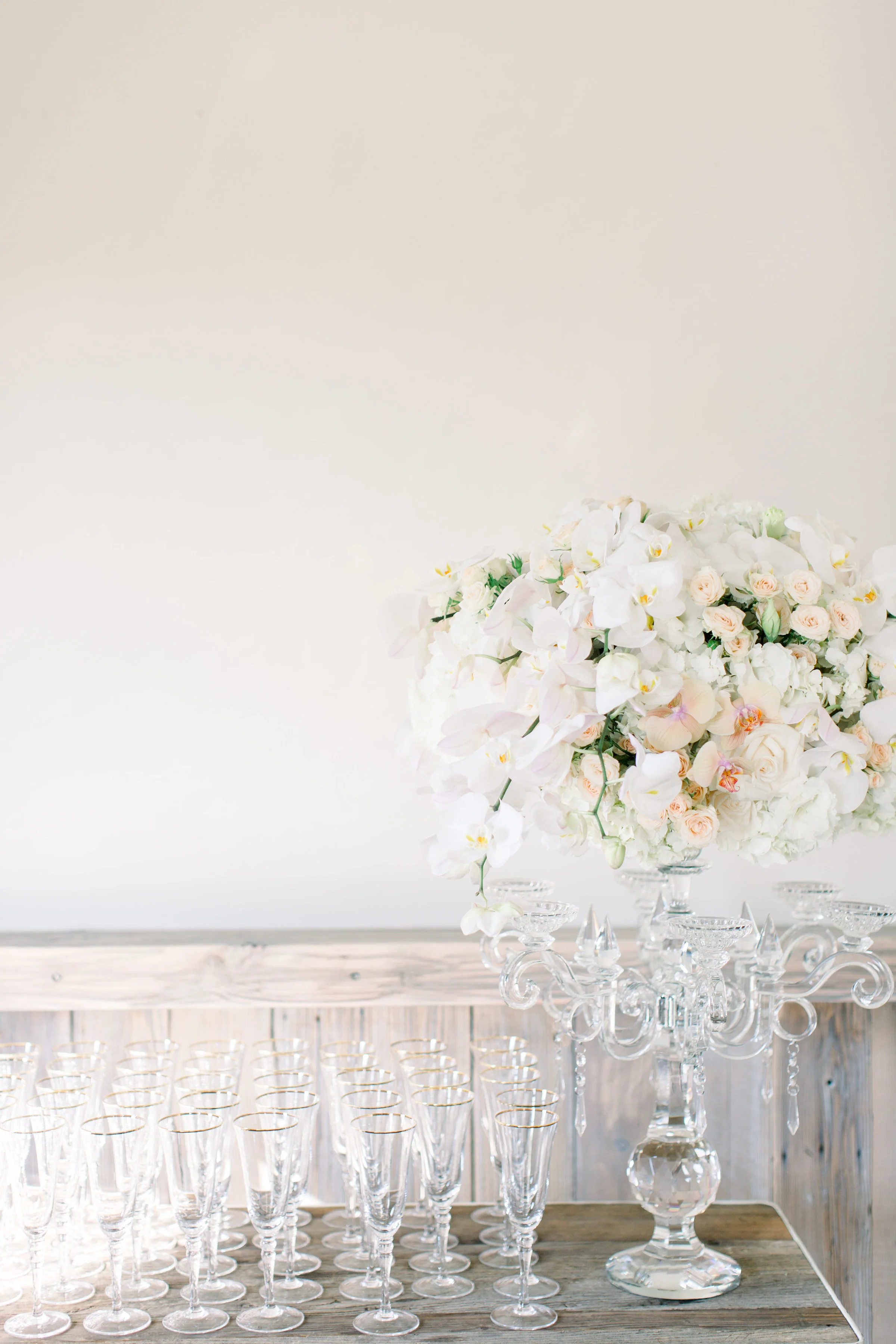 ASHLEY + AUSTIN // CIELO FARMS