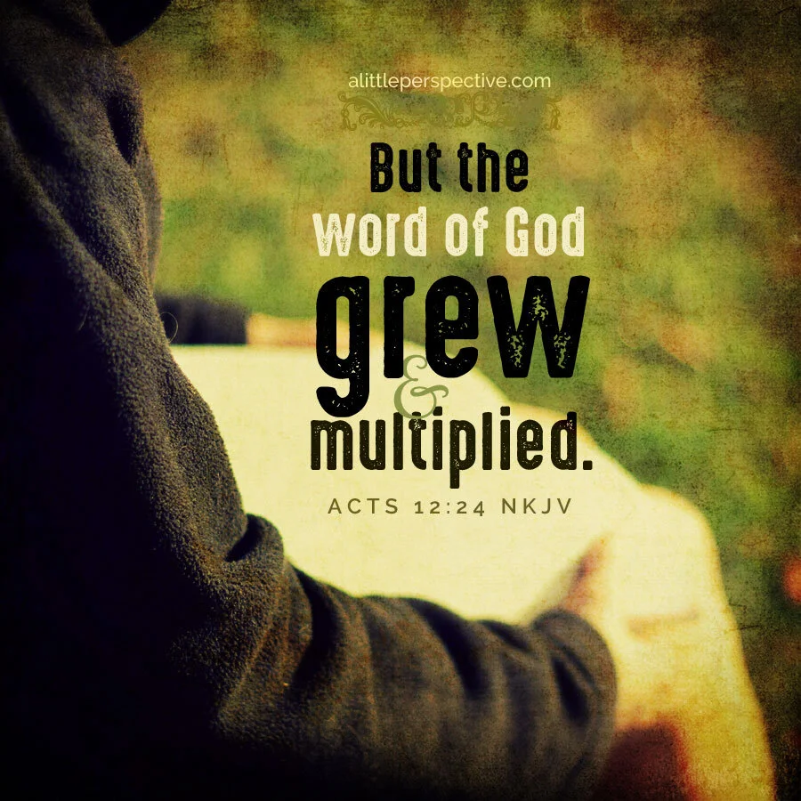 Acts 12 - An Execution and a Miraculous Rescue (2022)