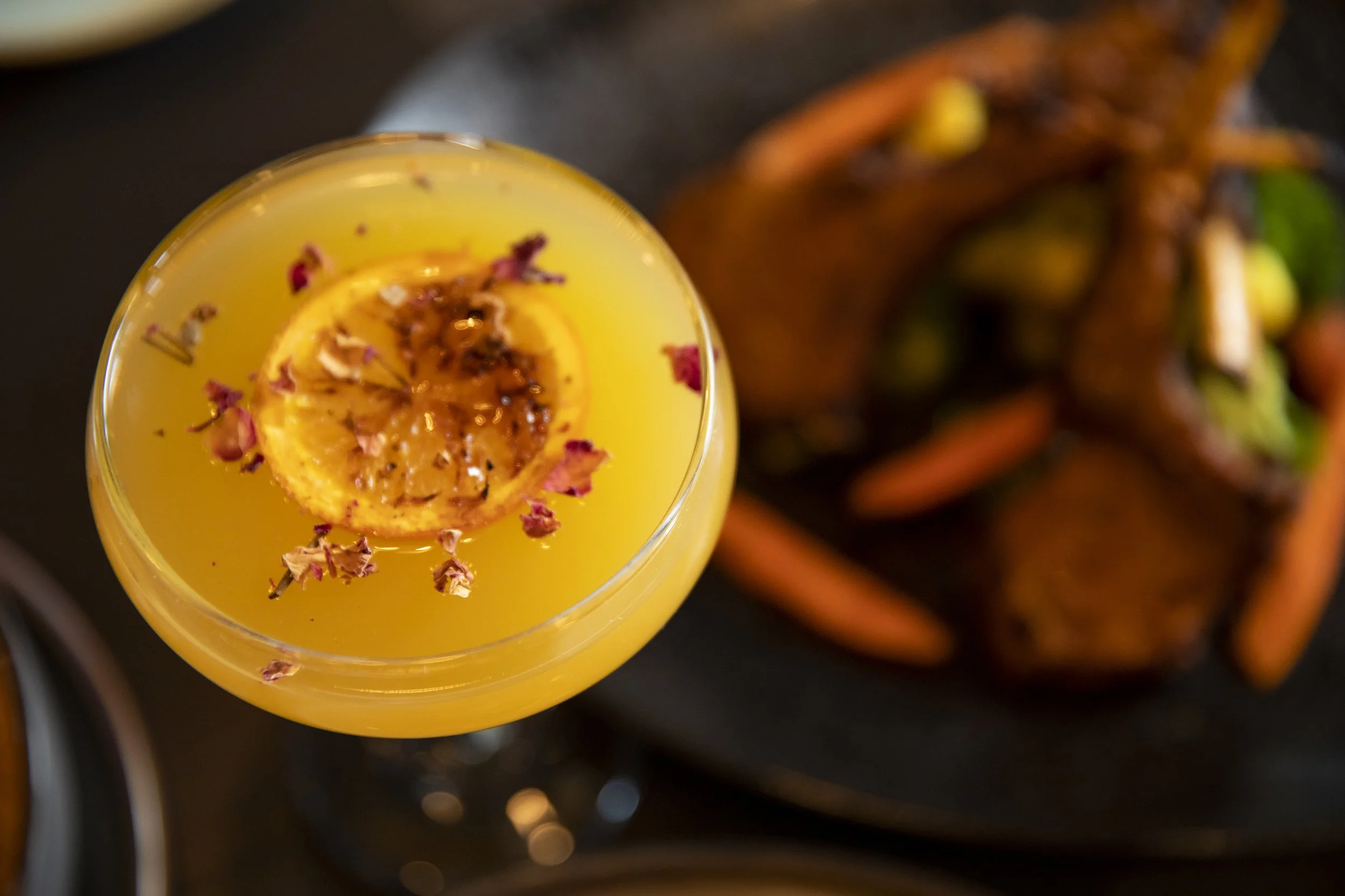 image_6487327 (2).JPG