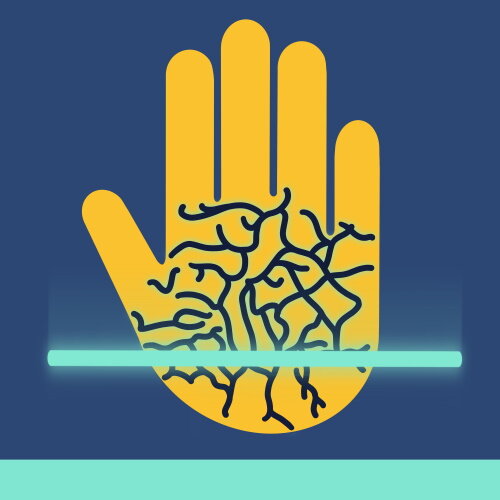 All About Palm Vein Biometrics