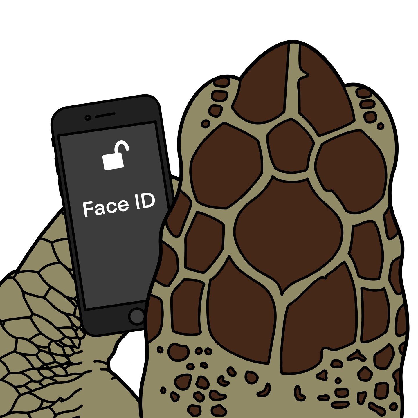 New blog alert: How face recognition is helping turtle conservation efforts. (Link in bio.) #facerecognition #facialrecognition #FRT #privacy #AI