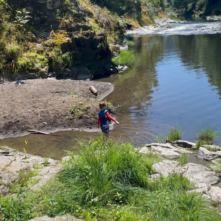 Lemieux Group Athlete Management